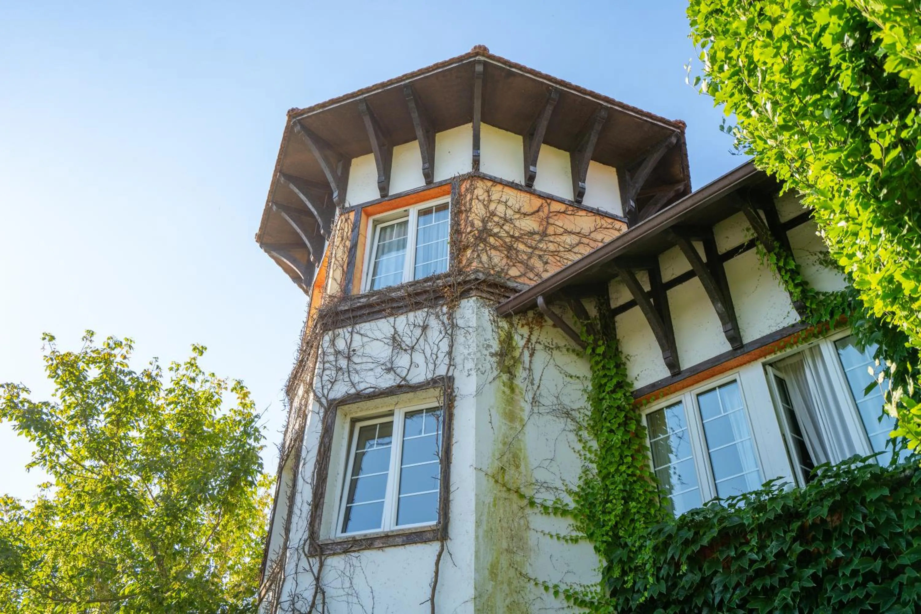 Garden in Hotel Torres de Somo