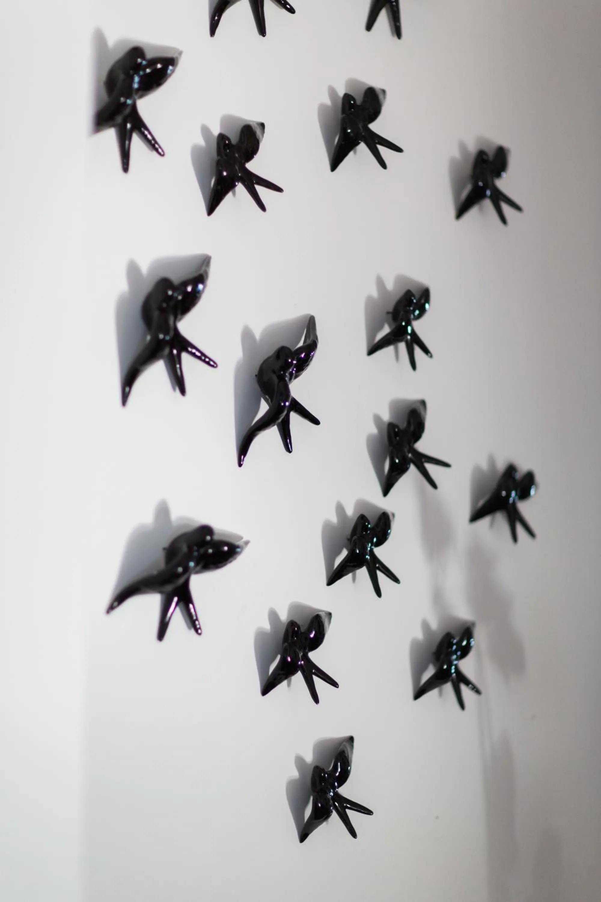 Other in Quinta Do Bosque