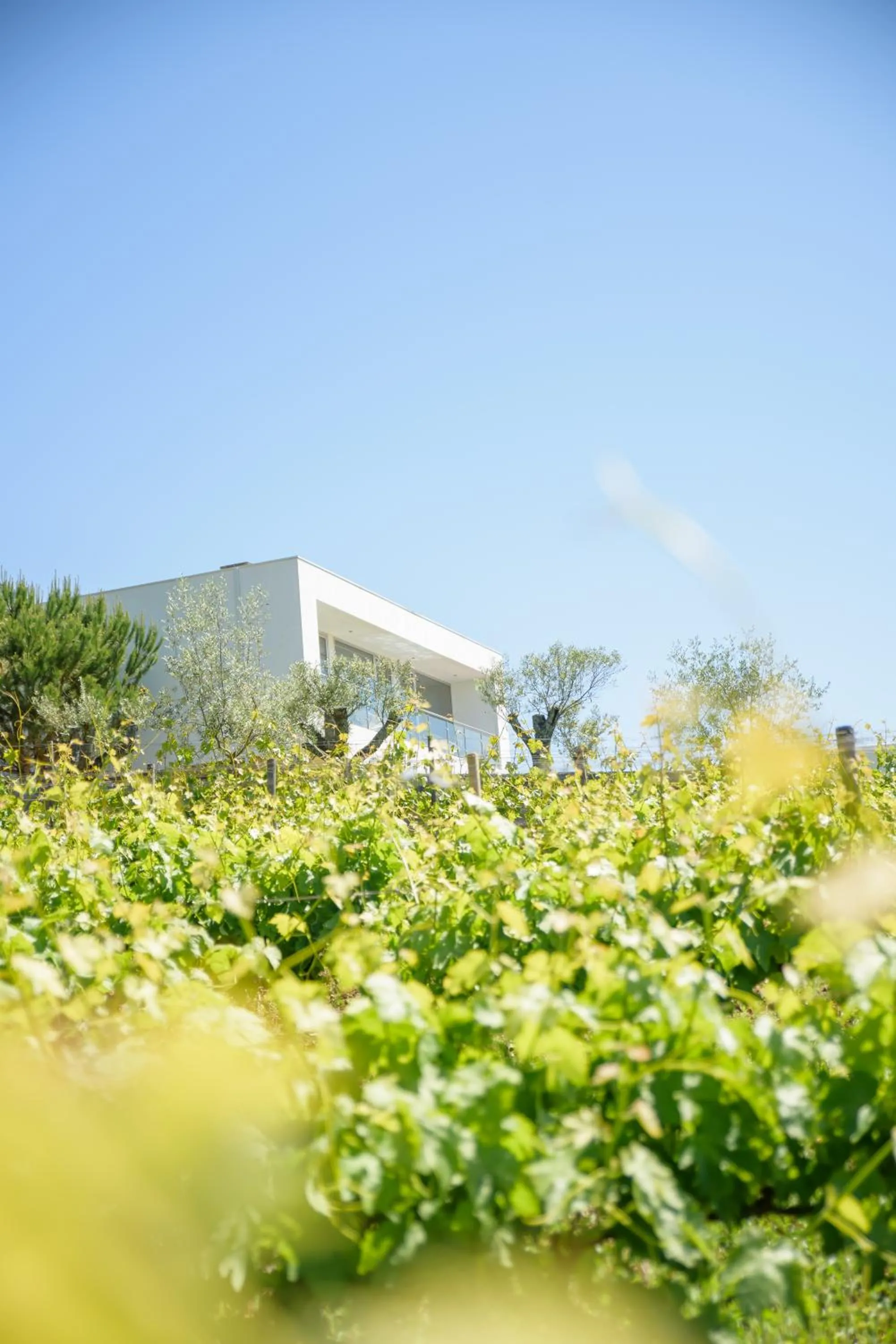 Day in Quinta Do Bosque