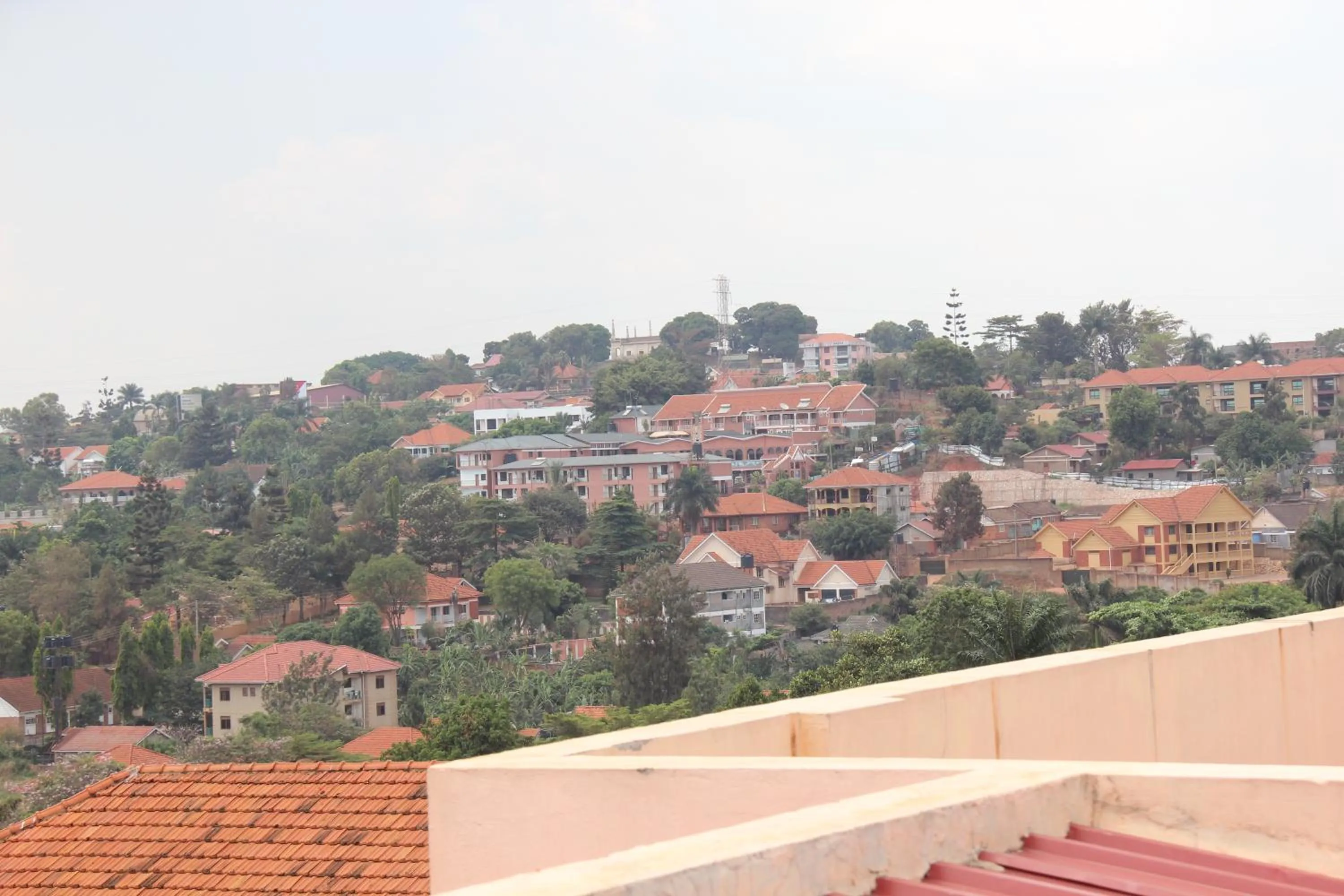 Area and facilities in Hotel Top Five