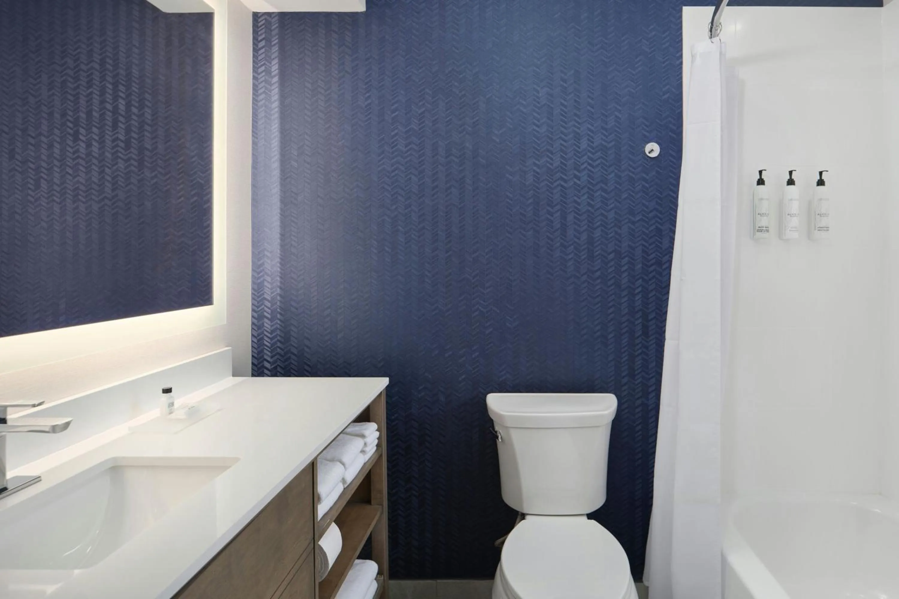 Bathroom in Fairfield by Marriott Inn & Suites Durham