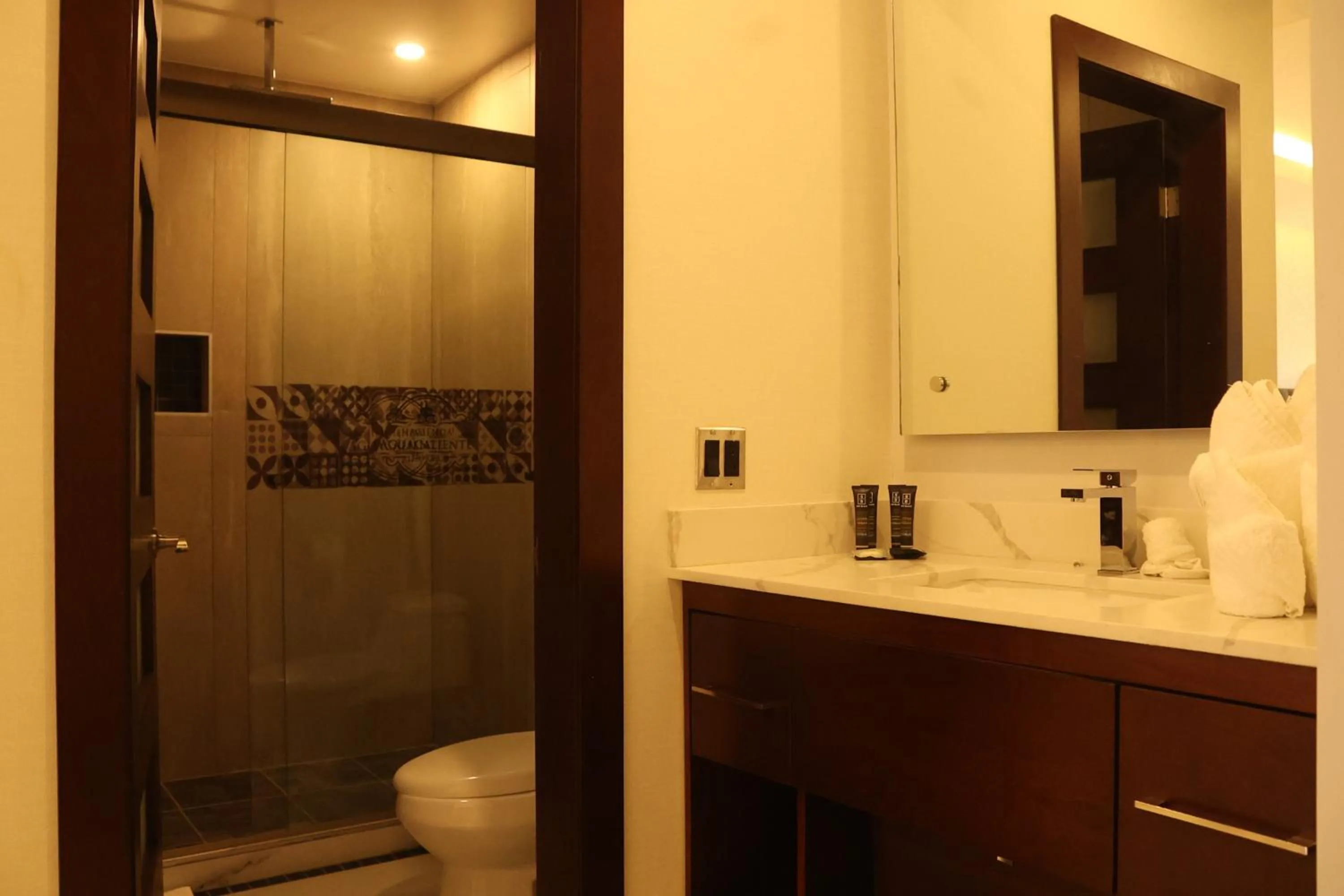 Hotel Hacienda Aguacaliente