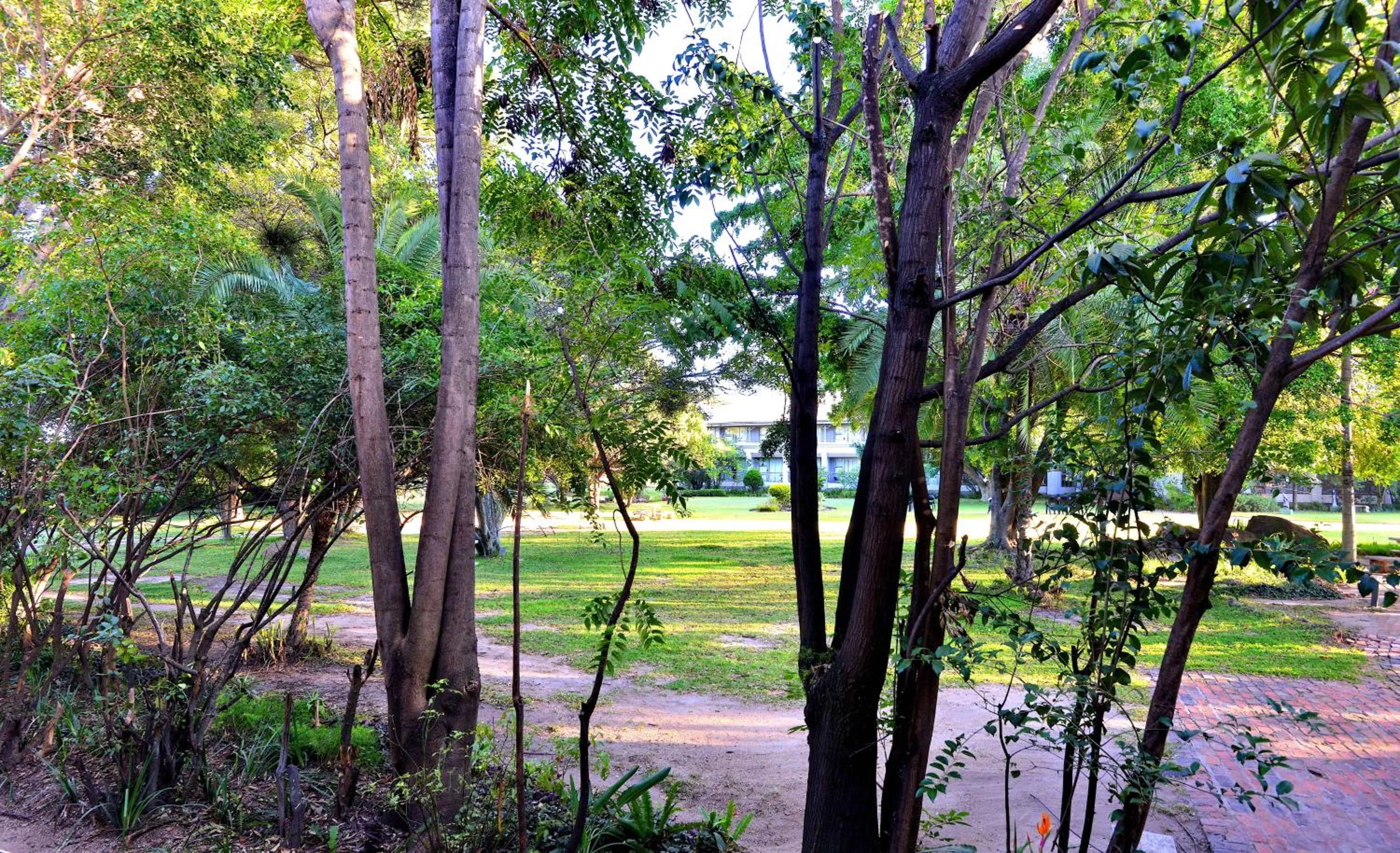 Day in Cresta Lodge Harare