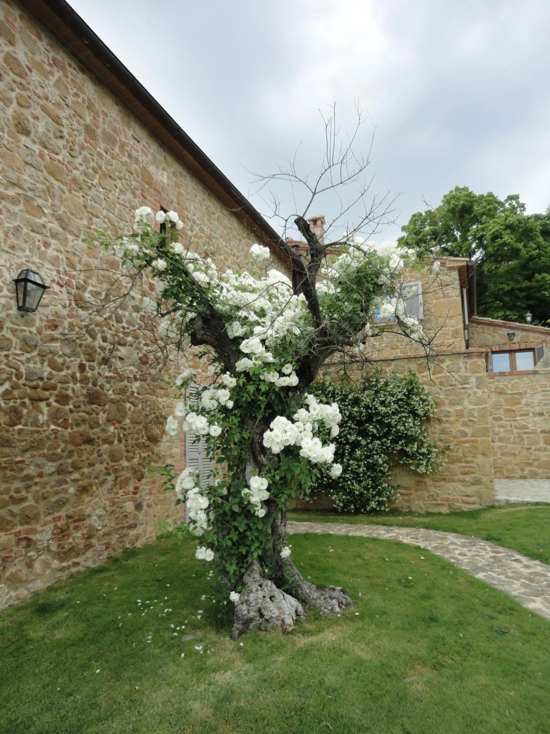 Spring in Borgo Sant'Ambrogio - Resort