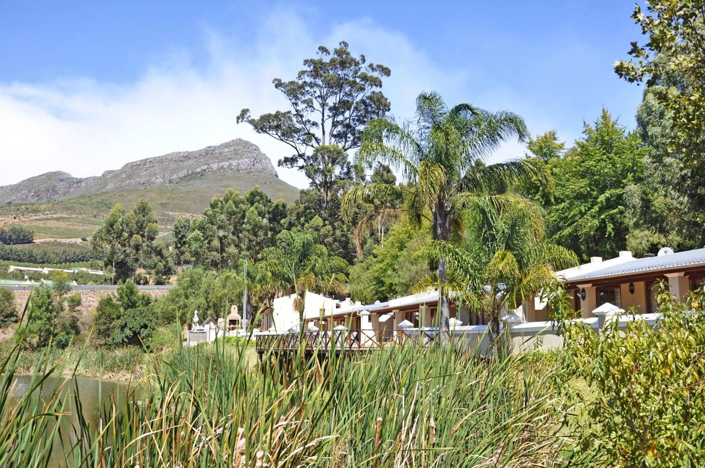 On site in Le Pommier Wine Estate