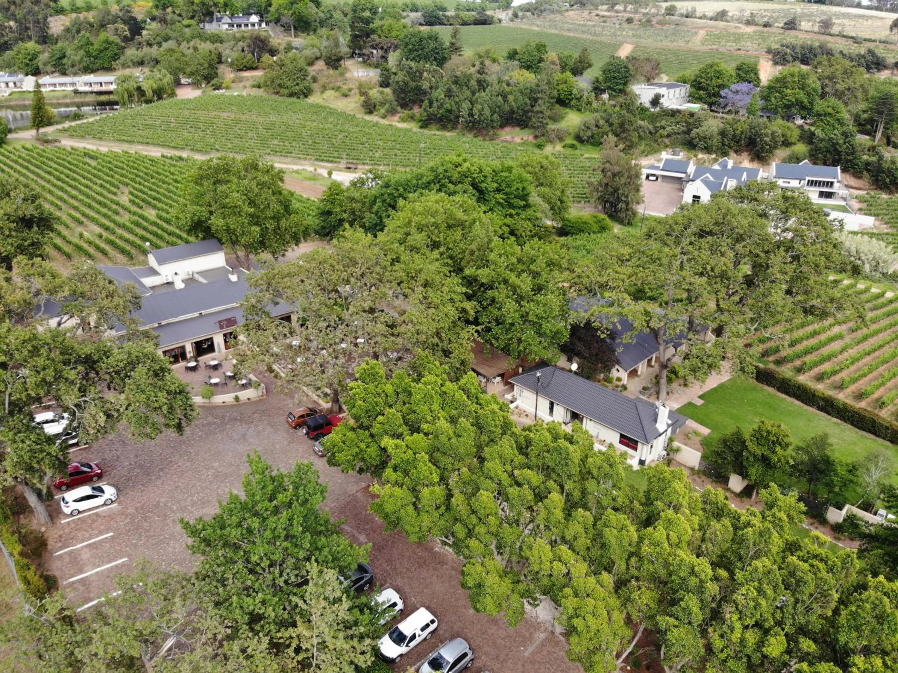 Bird's eye view in Le Pommier Wine Estate