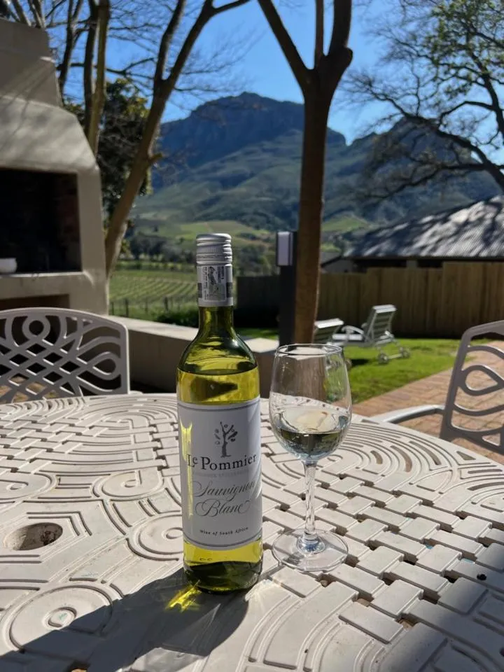 View (from property/room) in Le Pommier Wine Estate