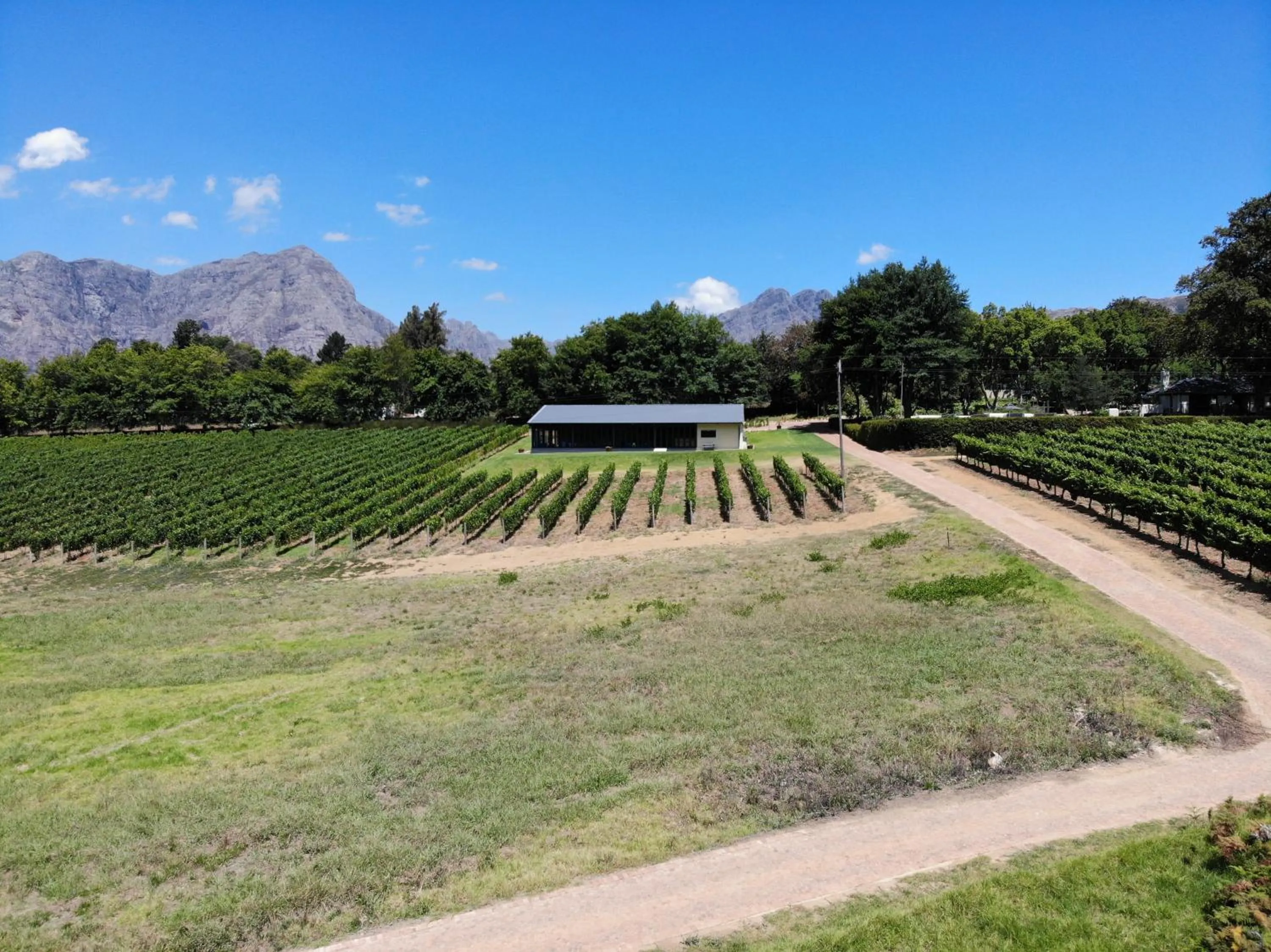 View (from property/room) in Le Pommier Wine Estate