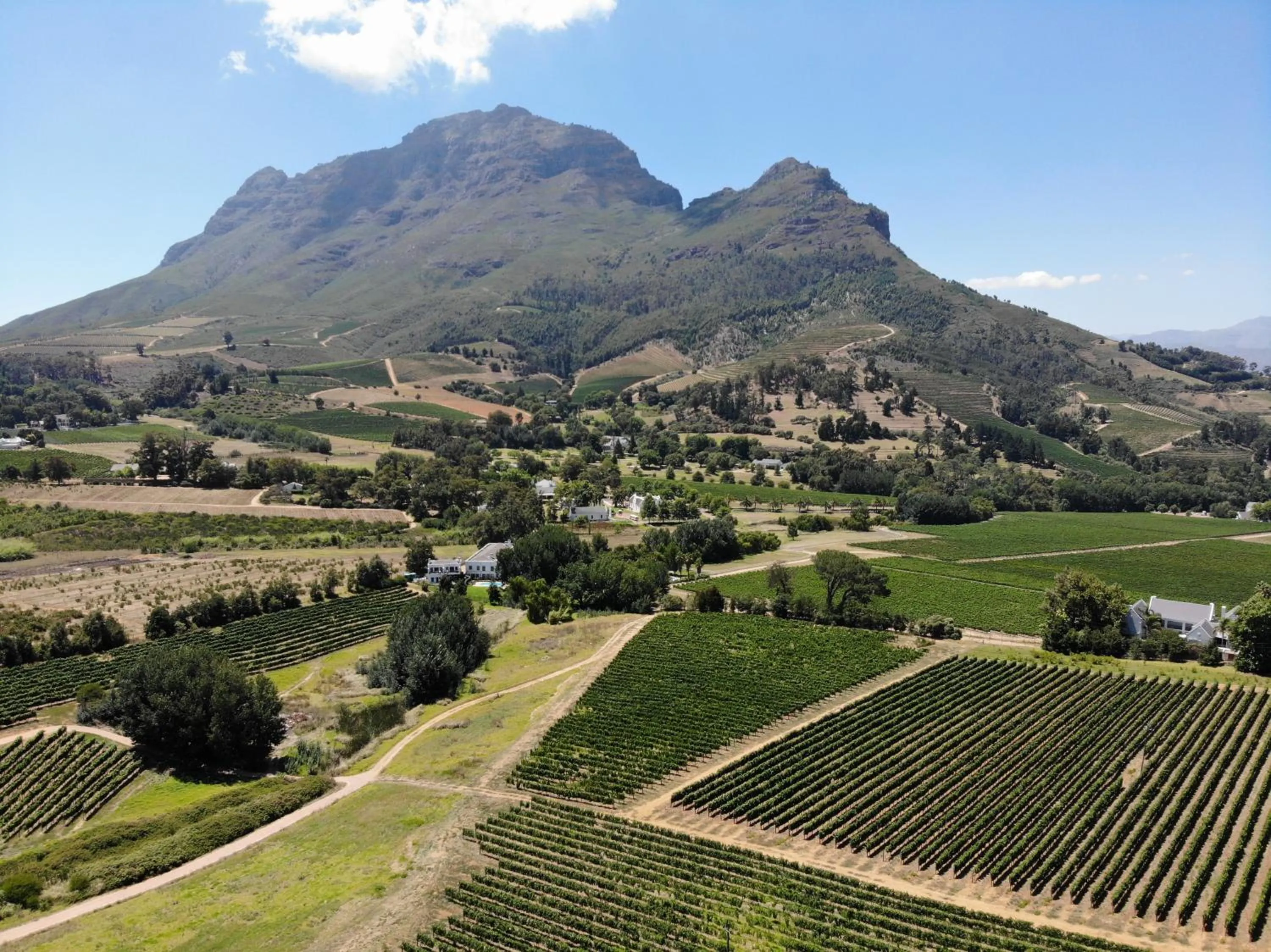 View (from property/room) in Le Pommier Wine Estate