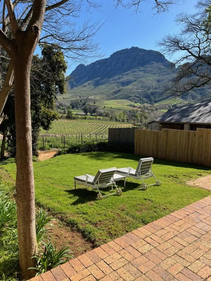 View (from property/room) in Le Pommier Wine Estate