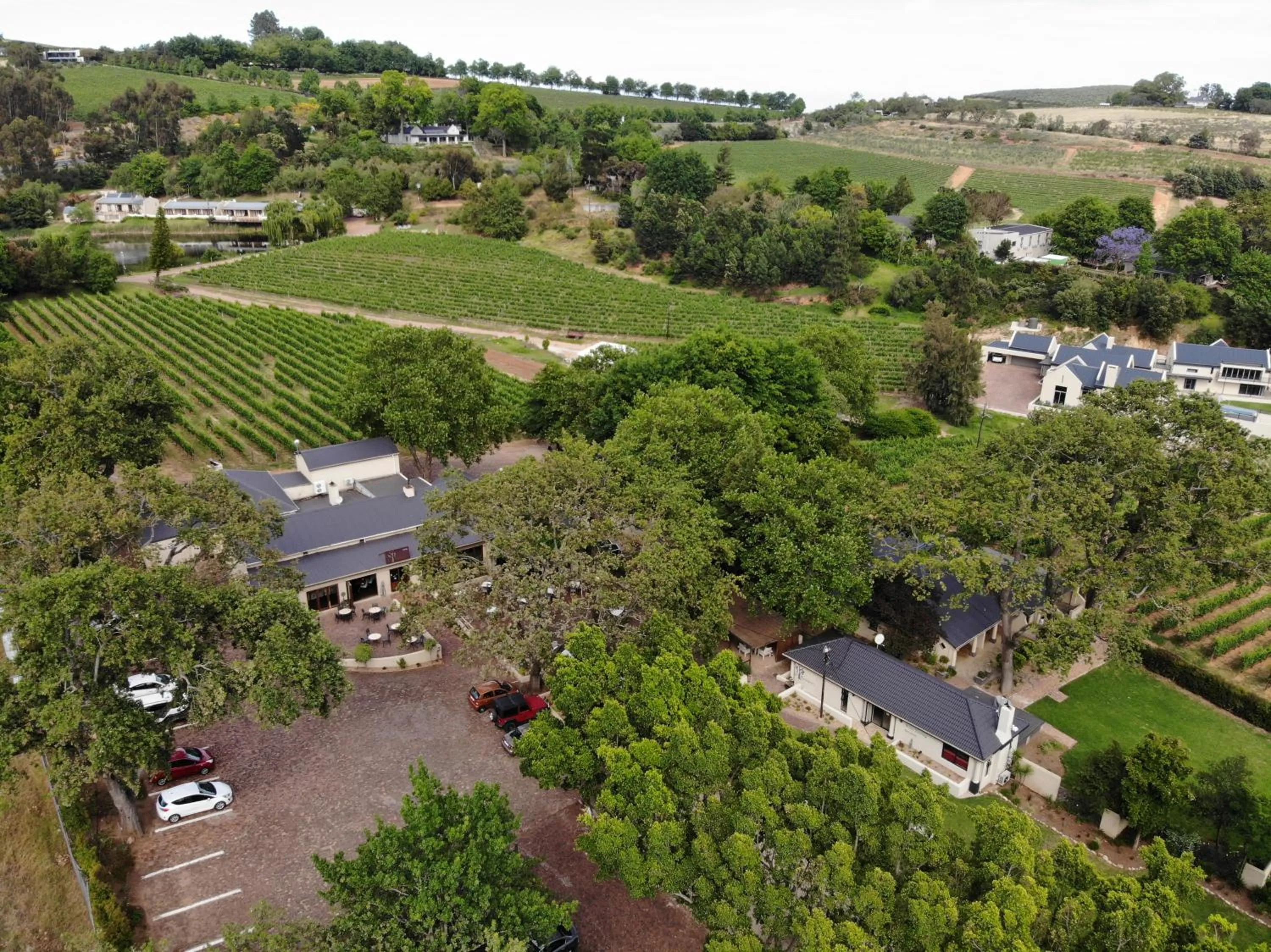 Bird's eye view in Le Pommier Wine Estate