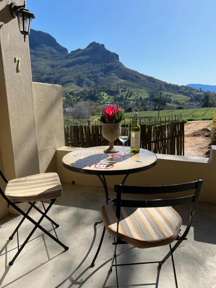 View (from property/room) in Le Pommier Wine Estate