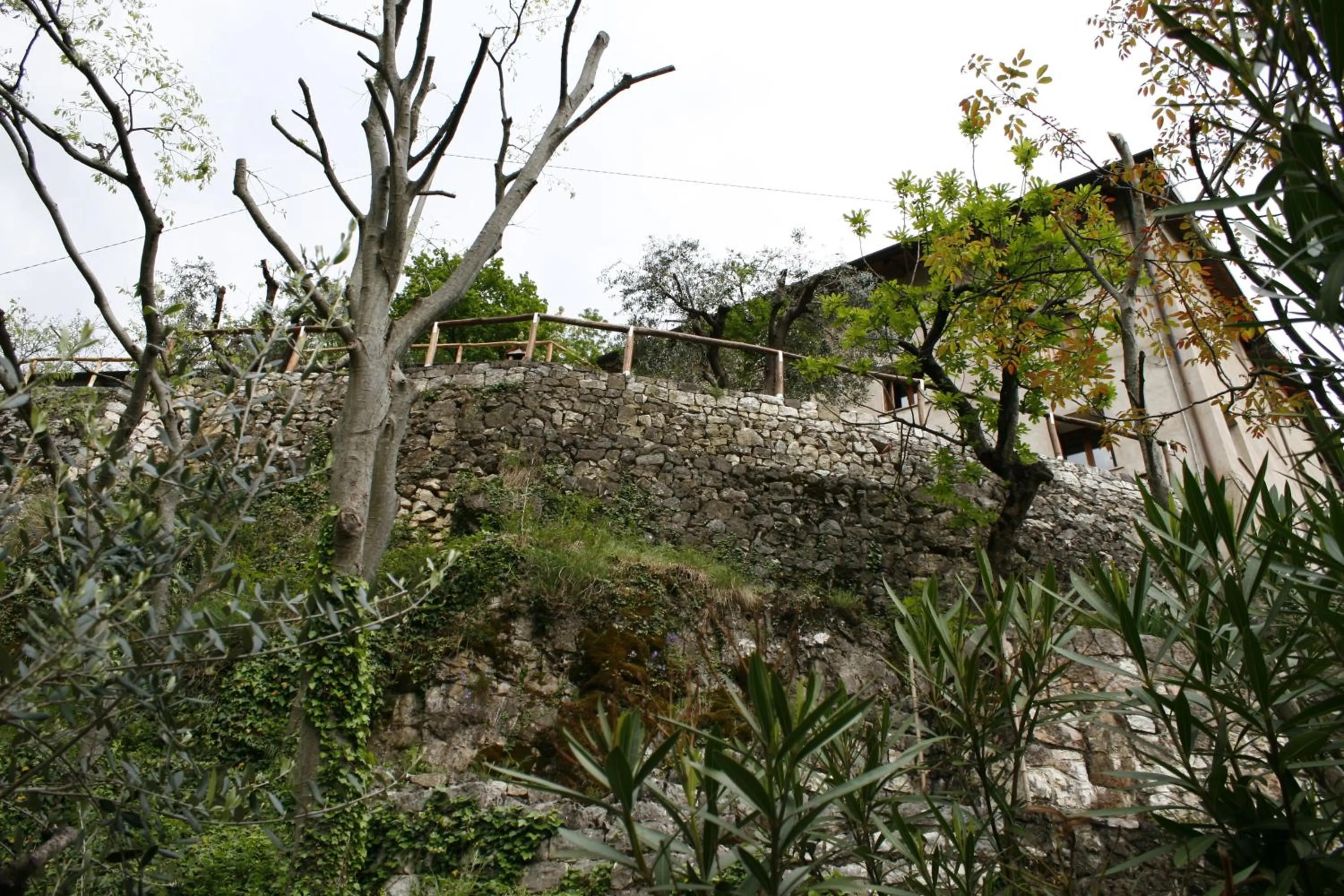 Natural landscape in B&B Allo Spizzo