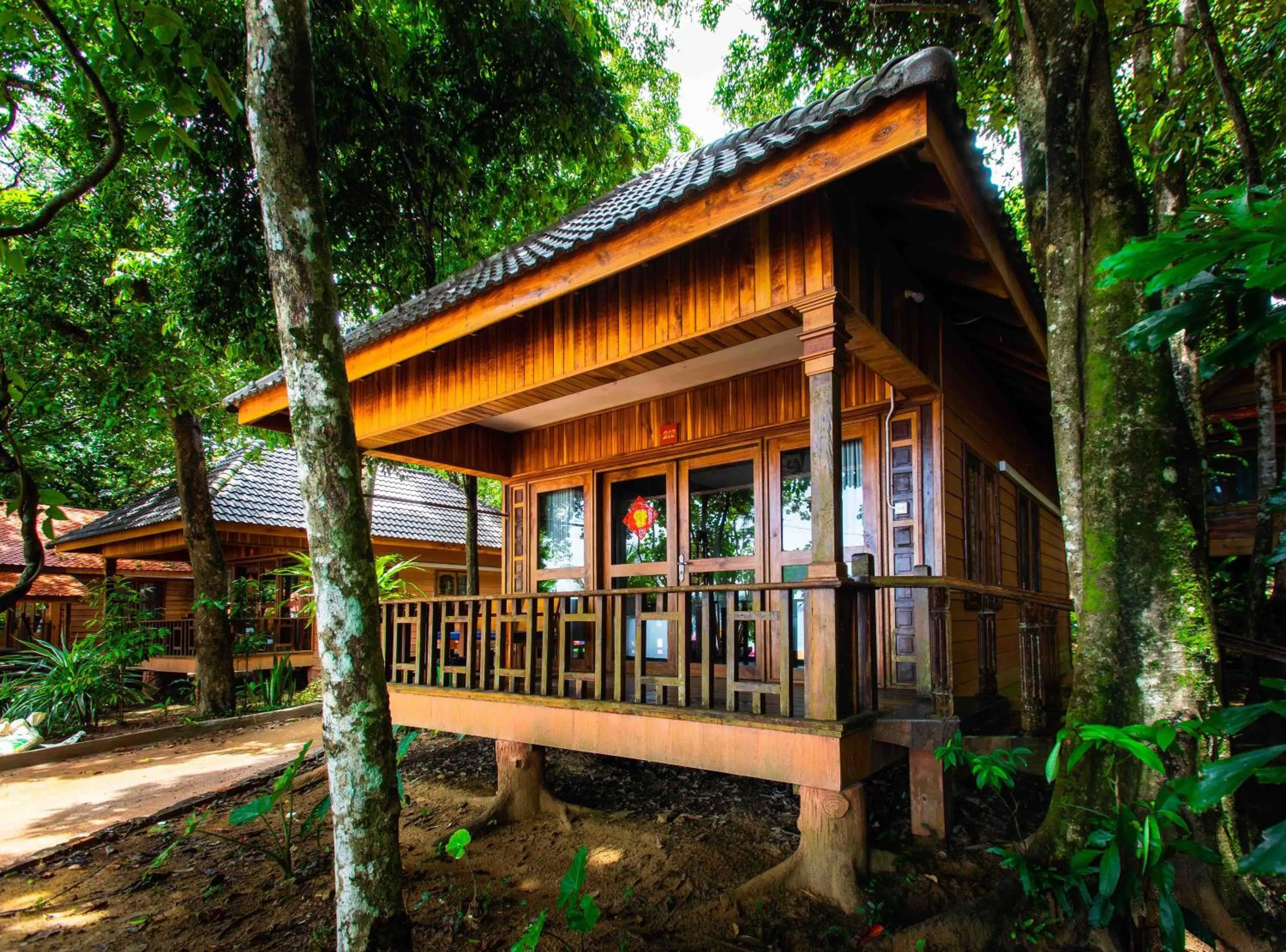 Tree House Bungalows