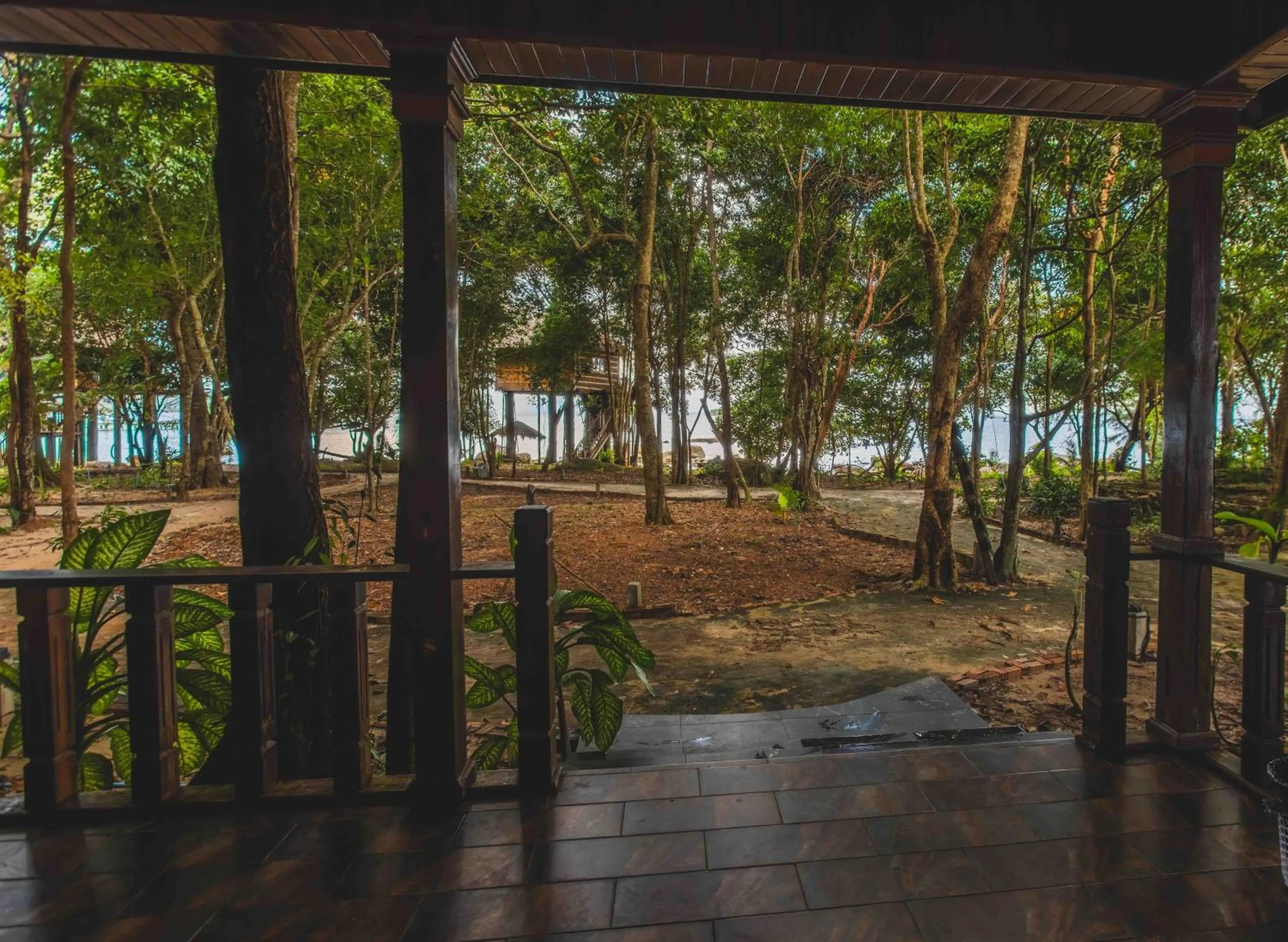 Tree House Bungalows