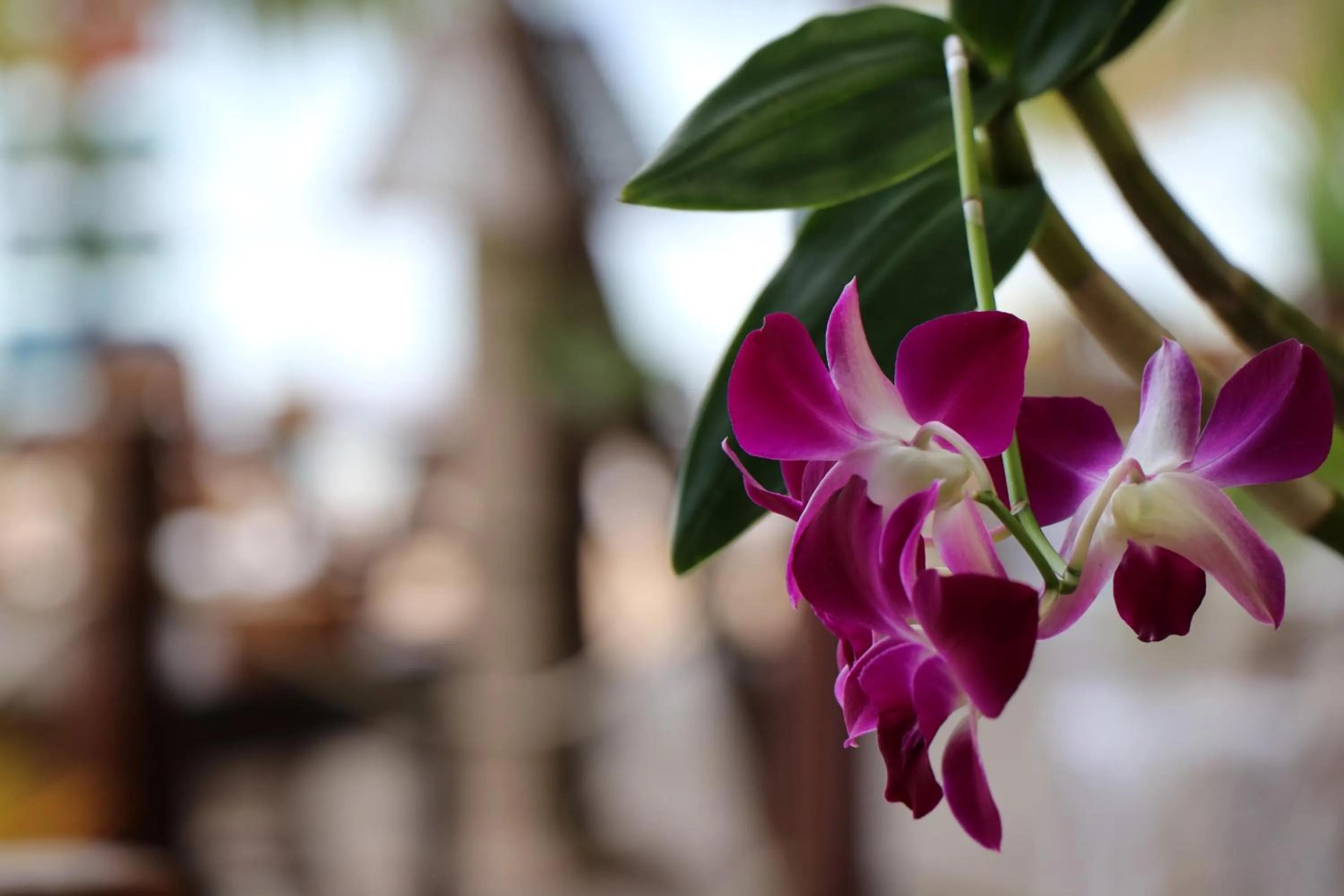 Decorative detail in Tree House Bungalows