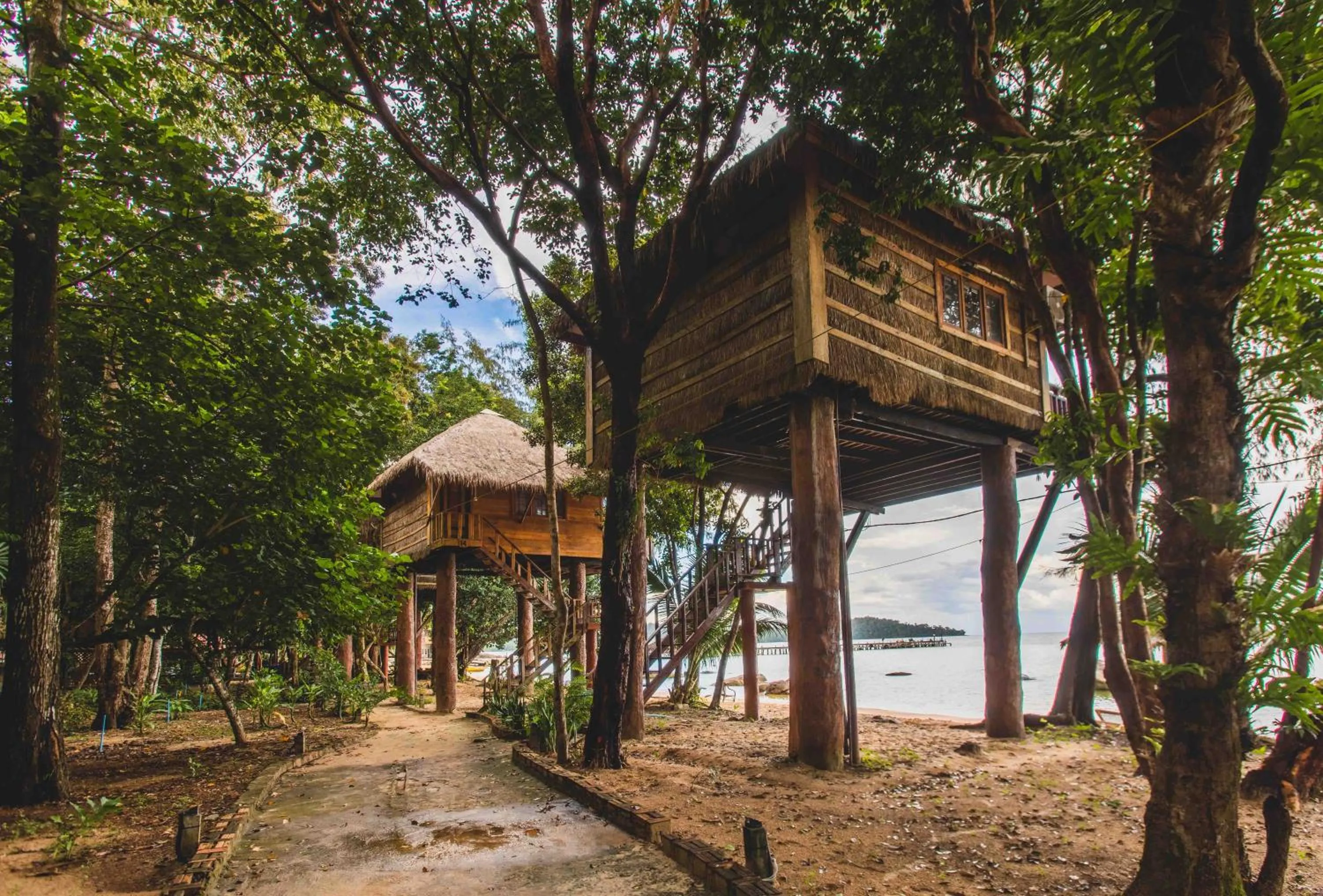 Tree House Bungalows