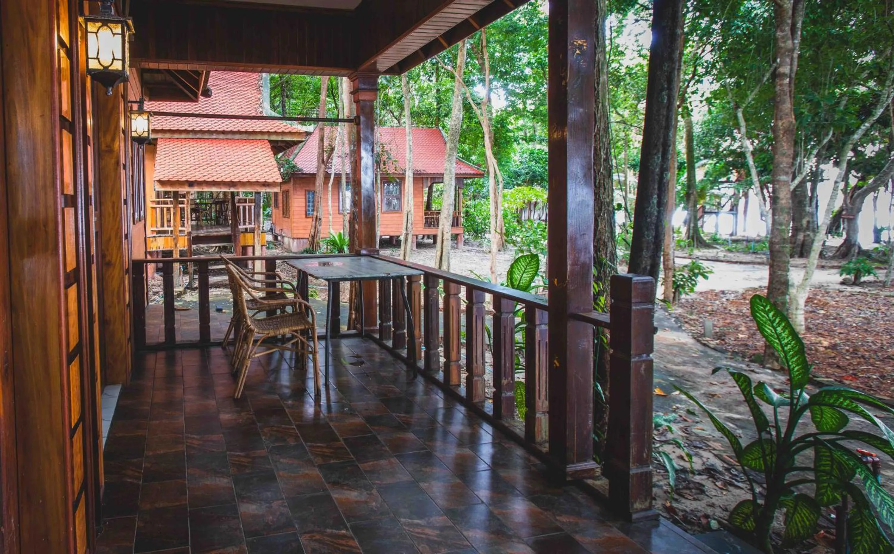 Tree House Bungalows
