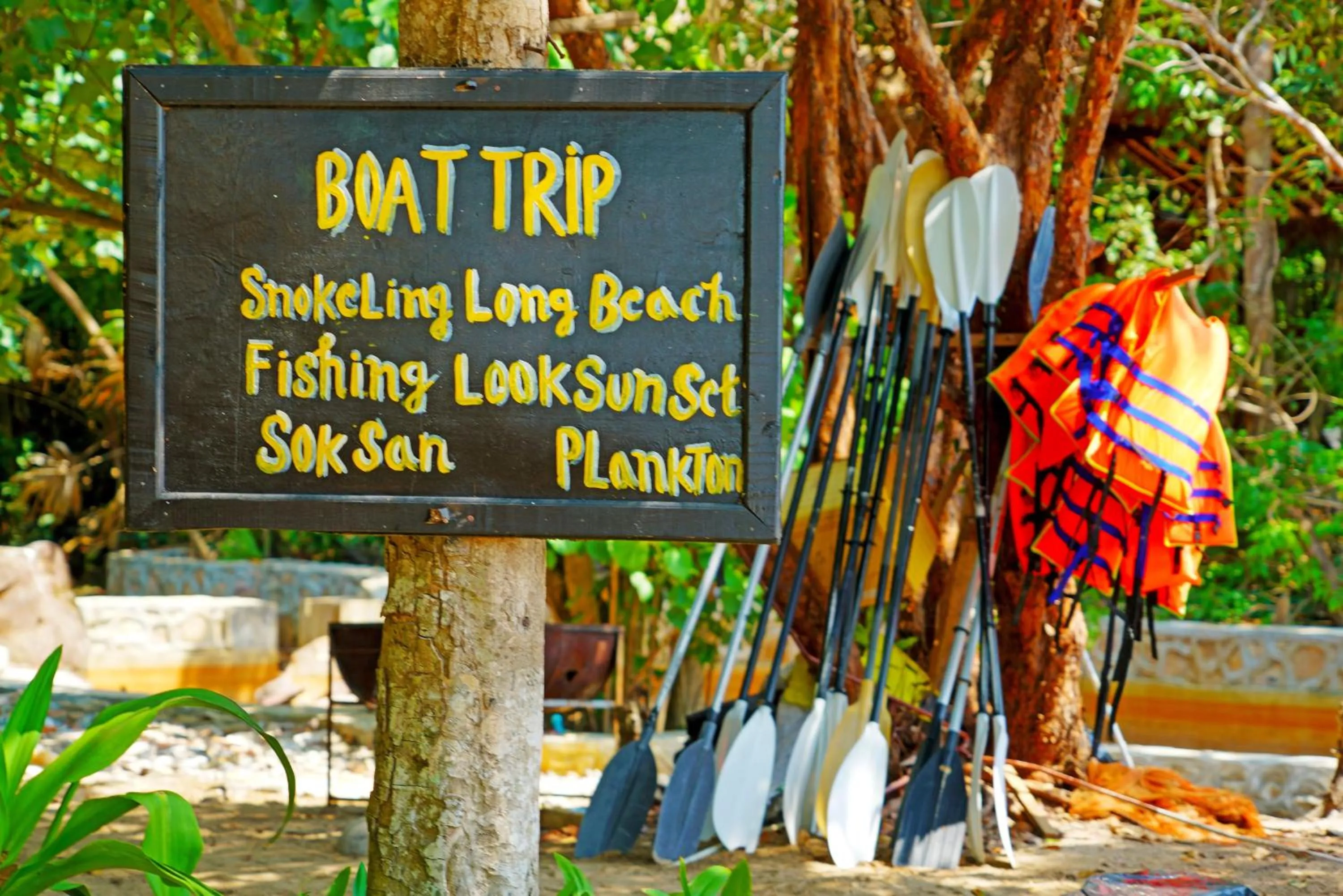 Diving in Tree House Bungalows