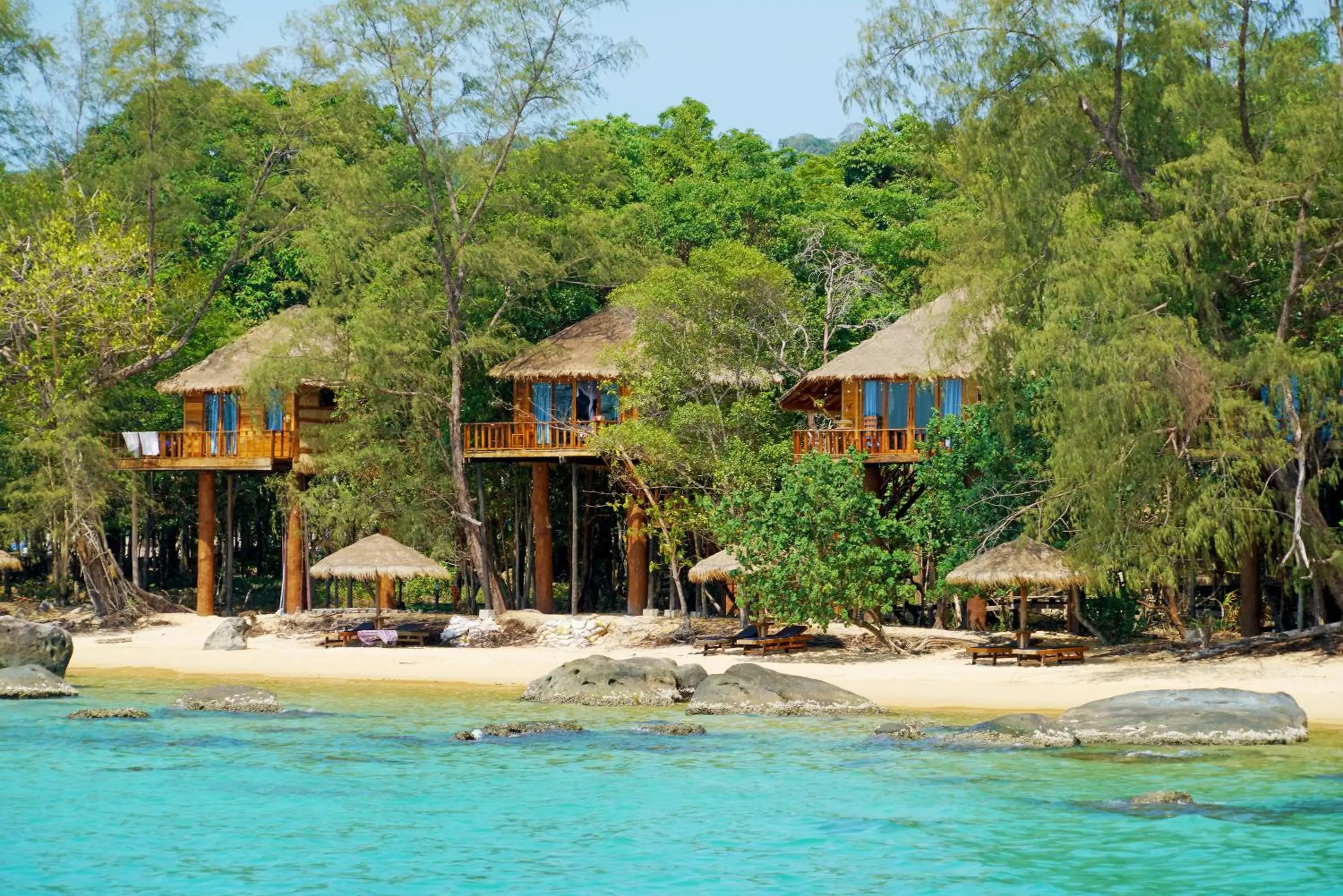 Tree House Bungalows Tree House Bungalows