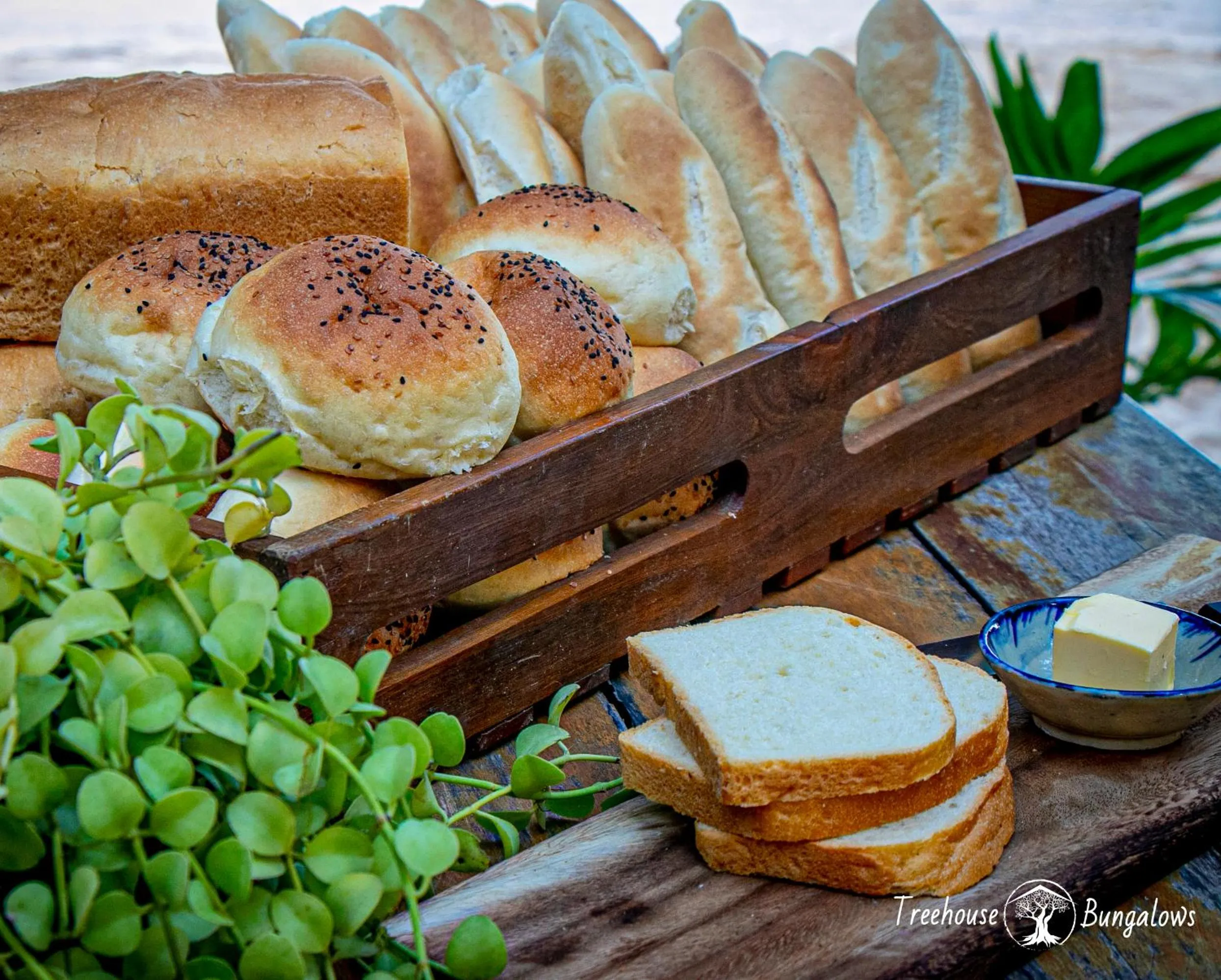 Tree House Bungalows