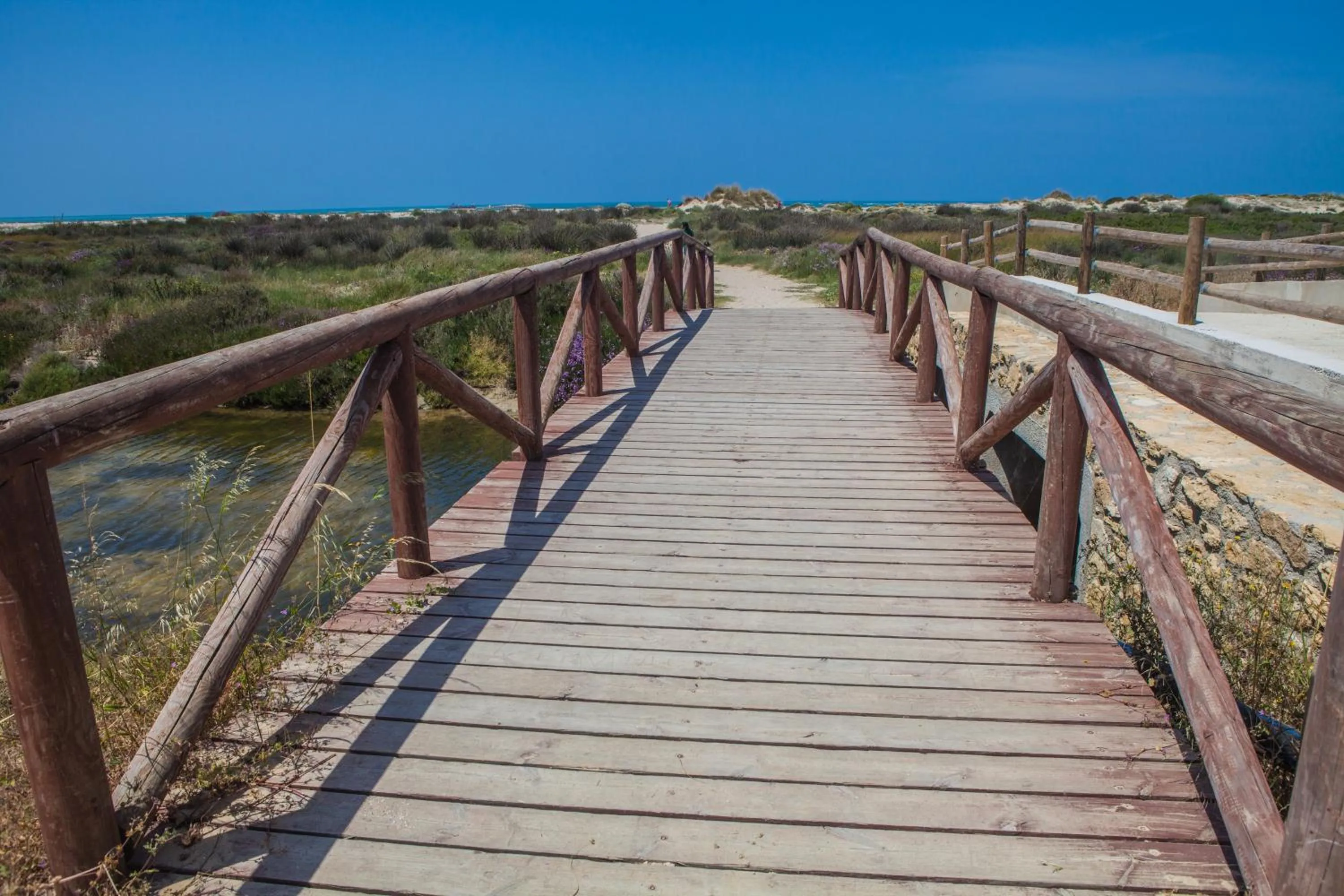 Beach in Estudios Turísticos Bahia Sur