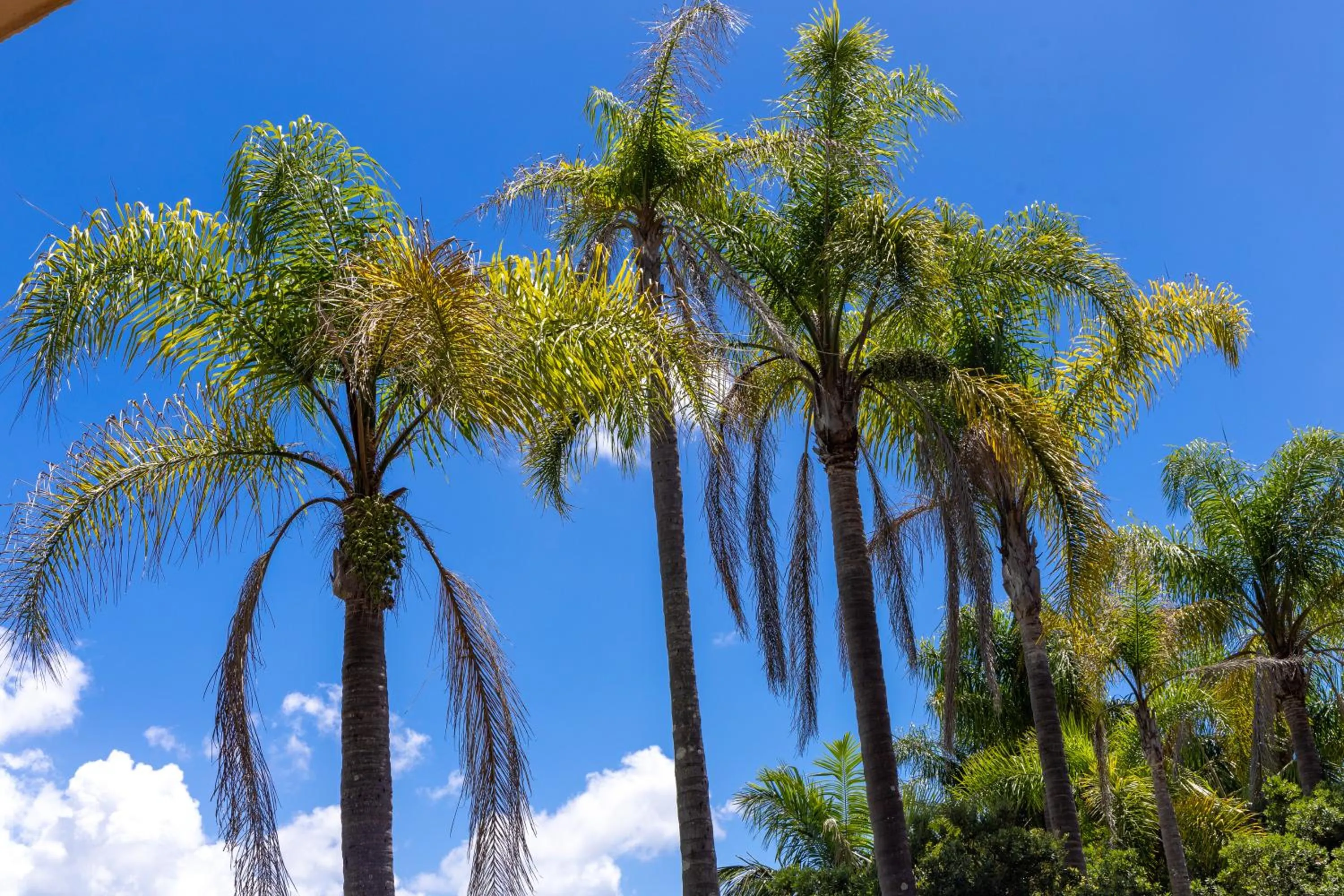 Natural landscape in Gosford Inn Motel