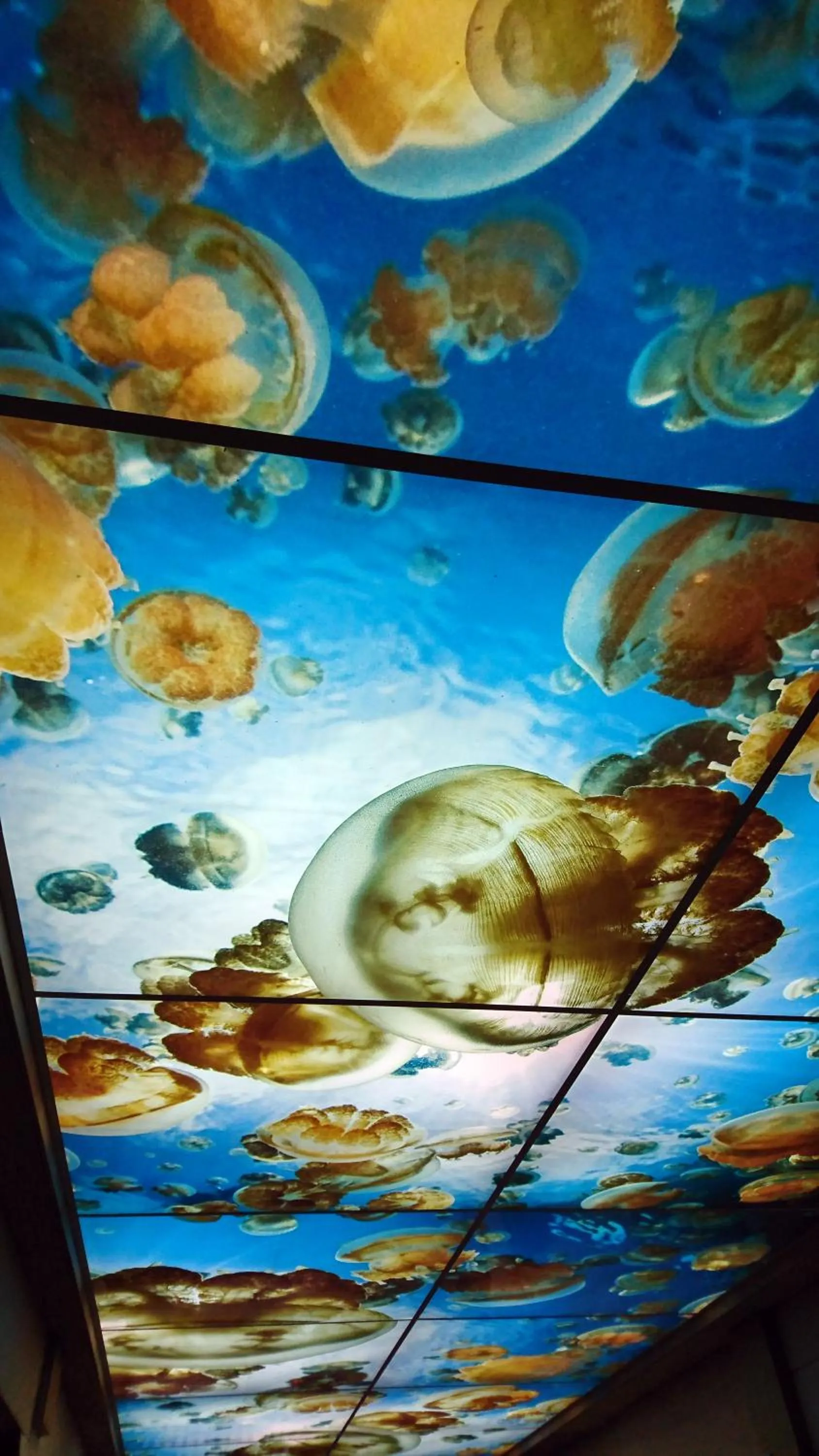 Facade/entrance in Palau Hotel