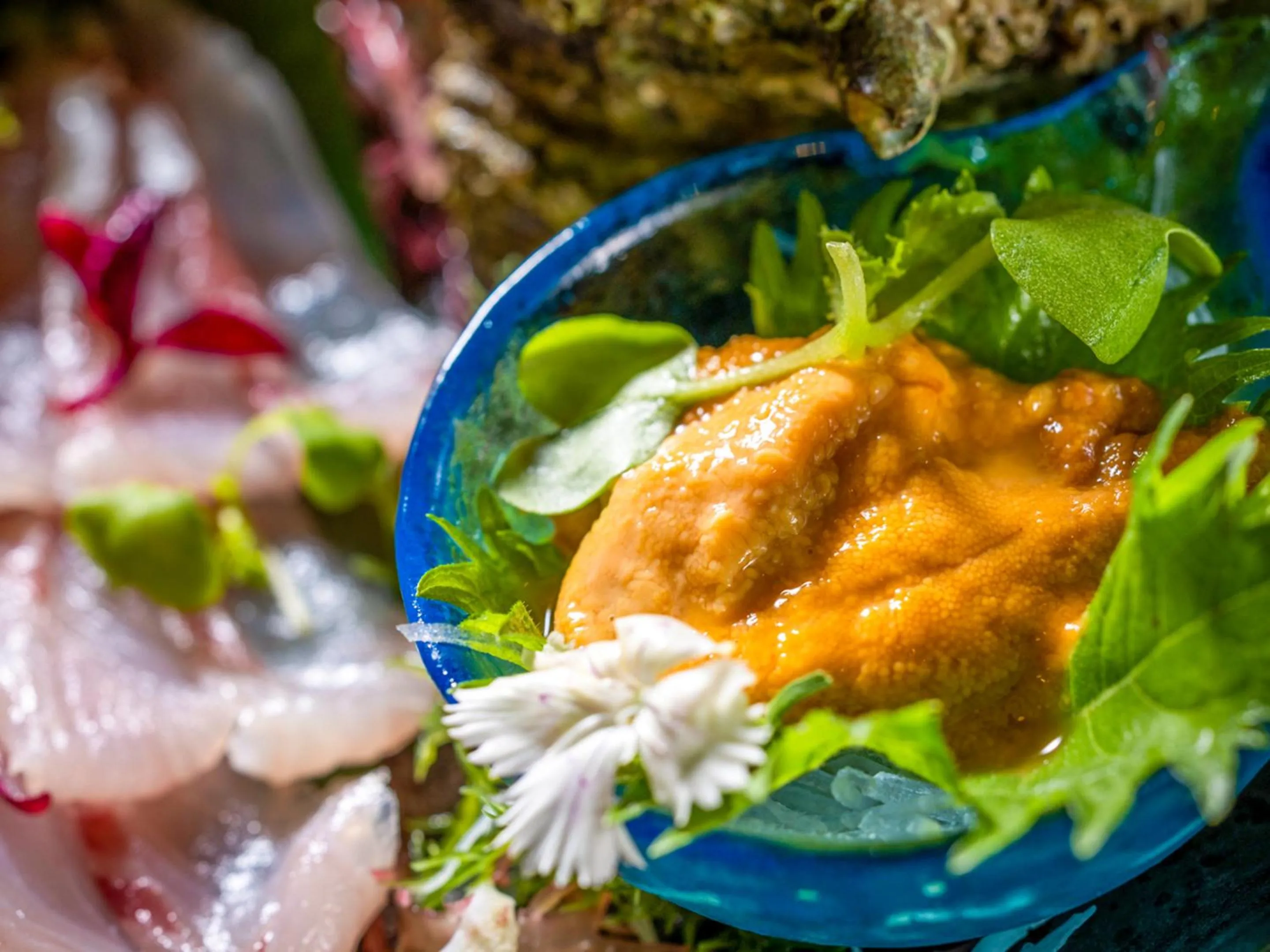 Dinner in Kameyama Onsen Hotel