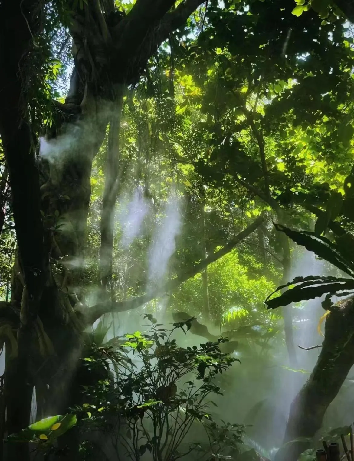 Other in City Hotel Xiamen