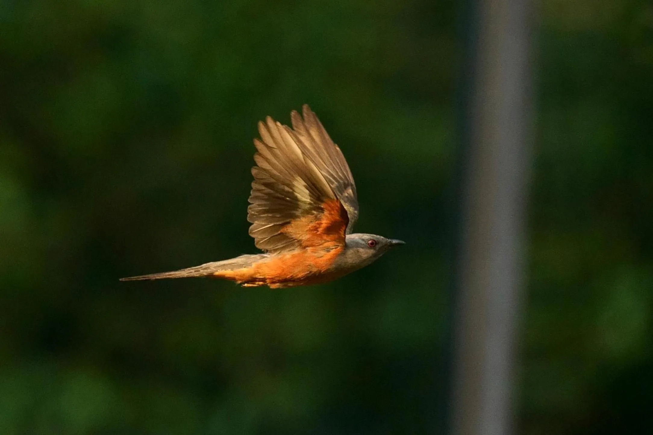 Property building in City Hotel Xiamen