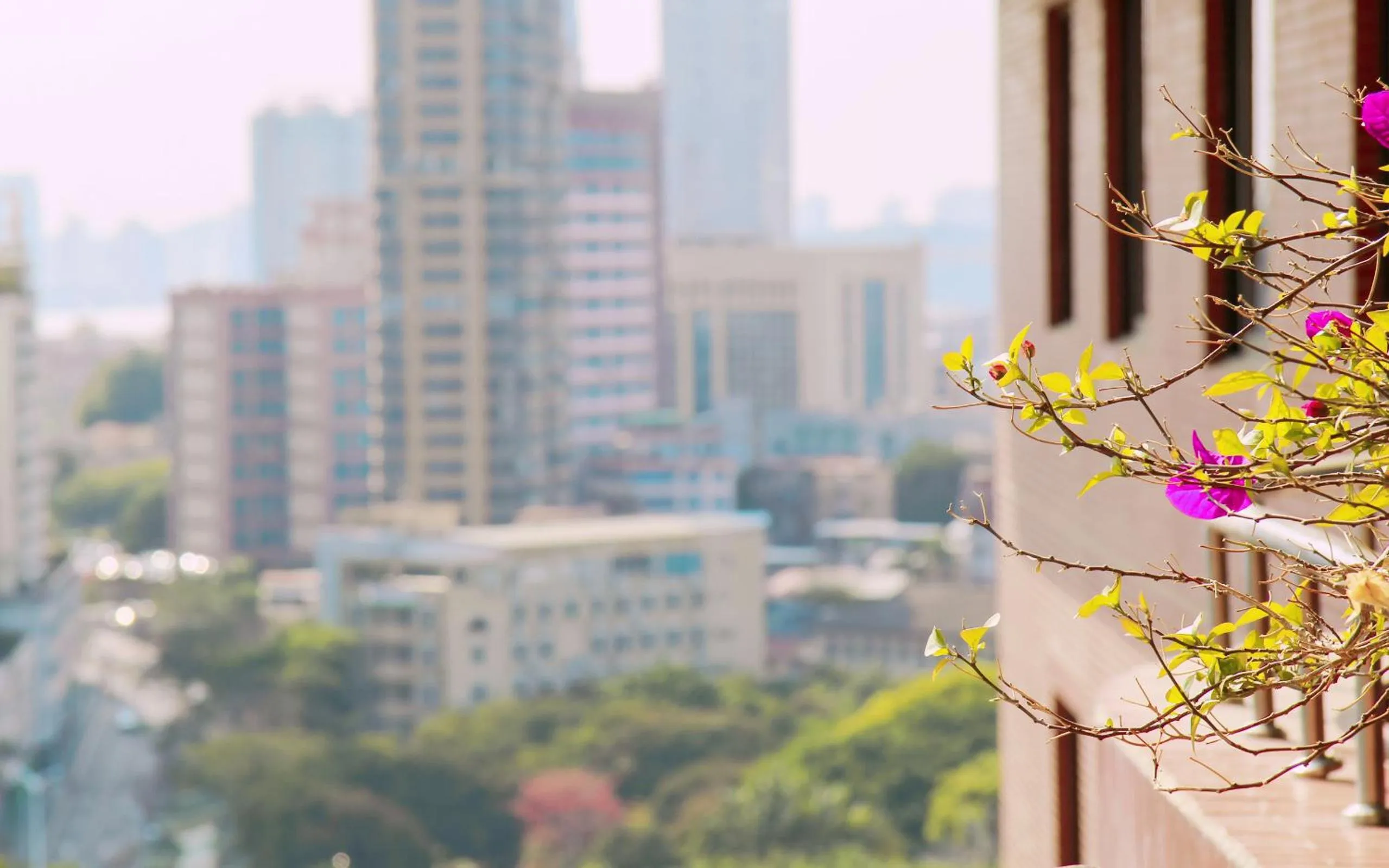 View (from property/room) in City Hotel Xiamen