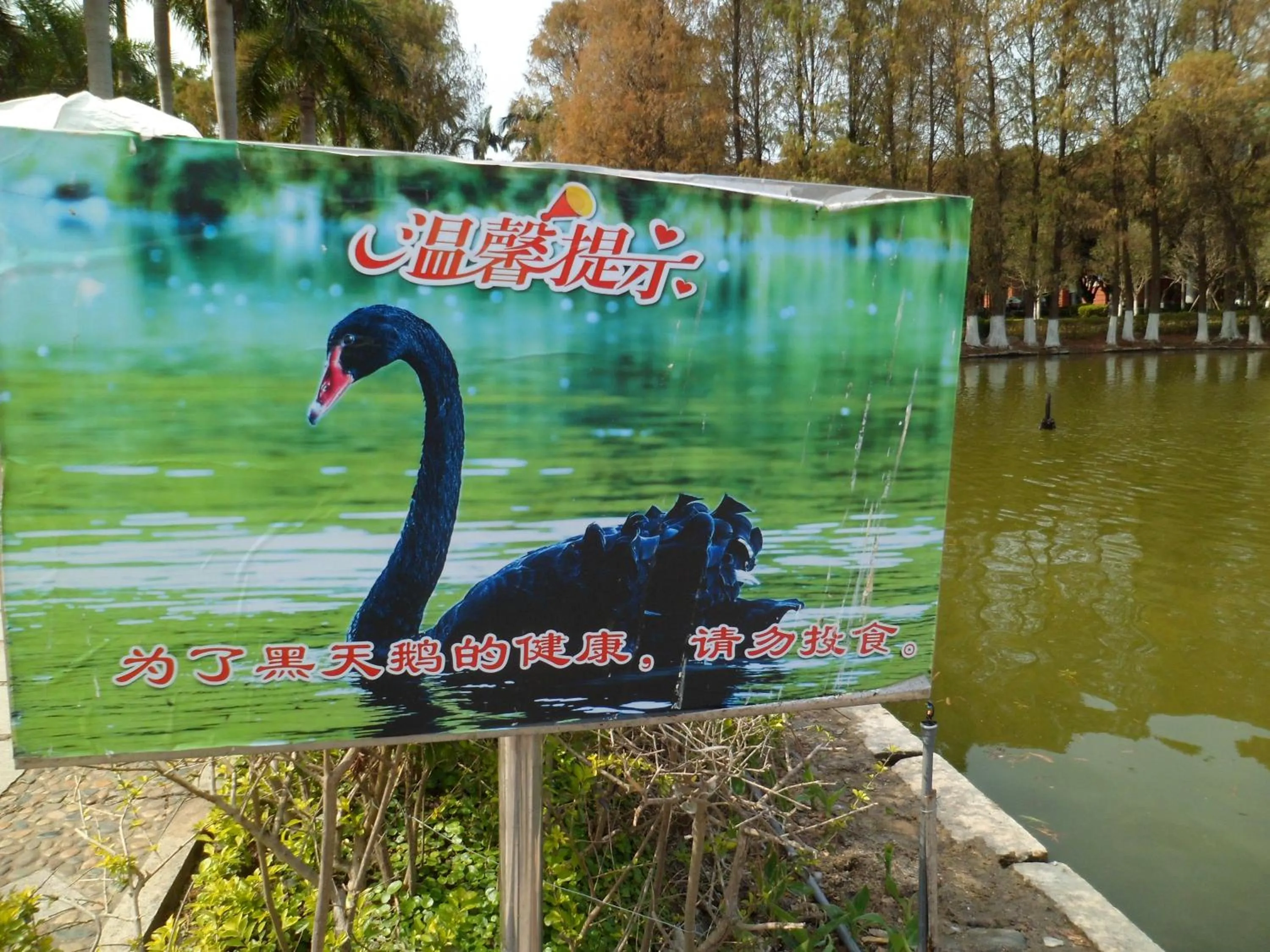 Other in City Hotel Xiamen