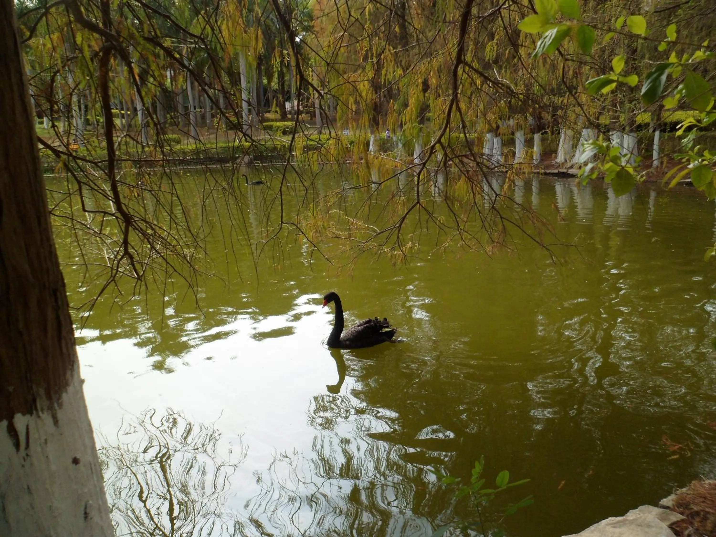 Other in City Hotel Xiamen