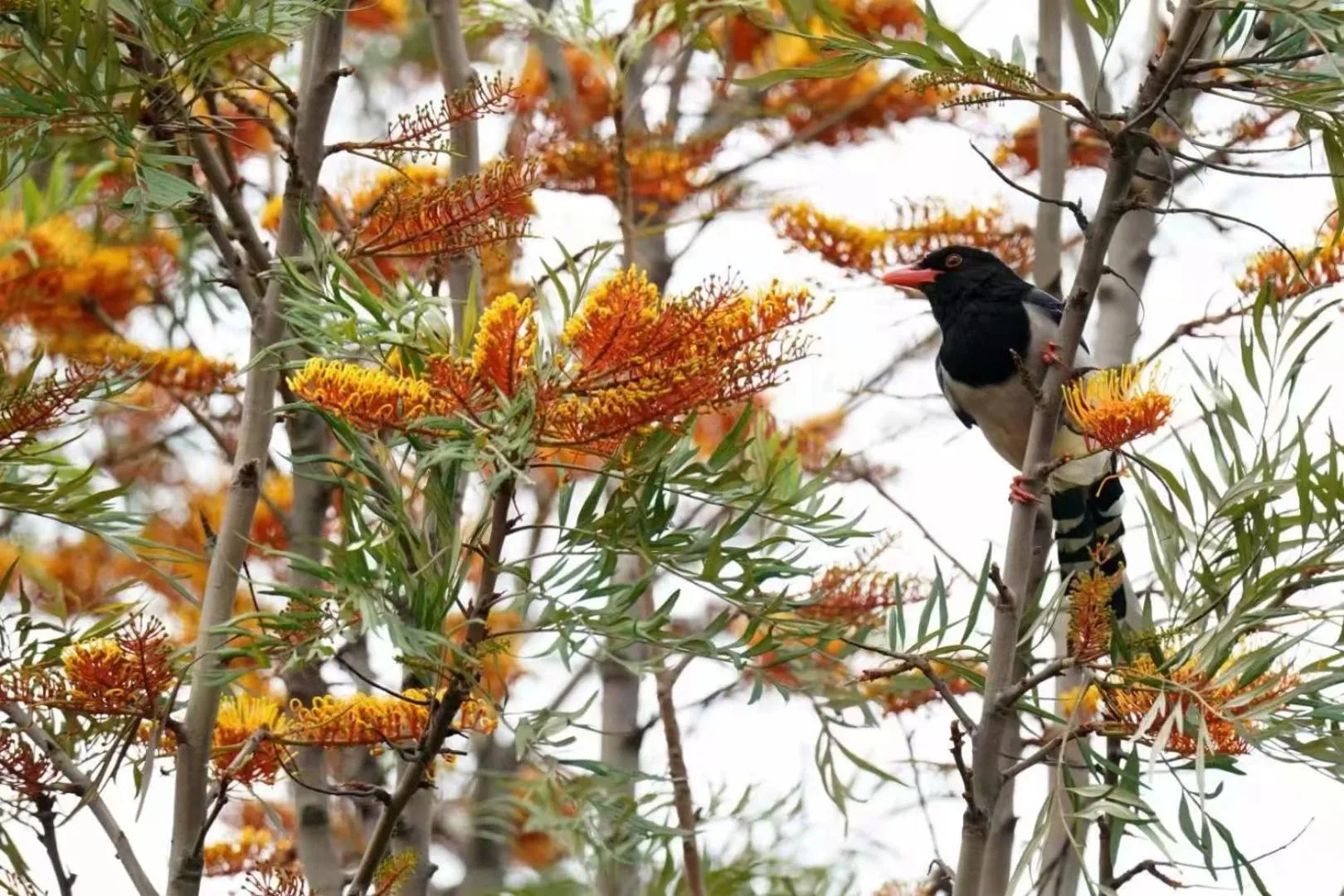 Property building in City Hotel Xiamen