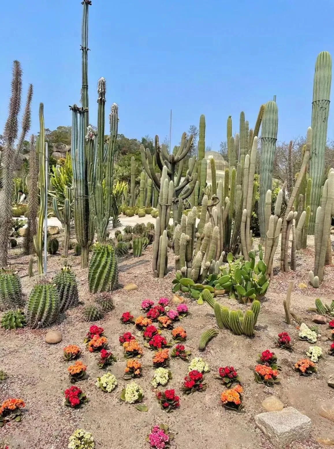 Other in City Hotel Xiamen