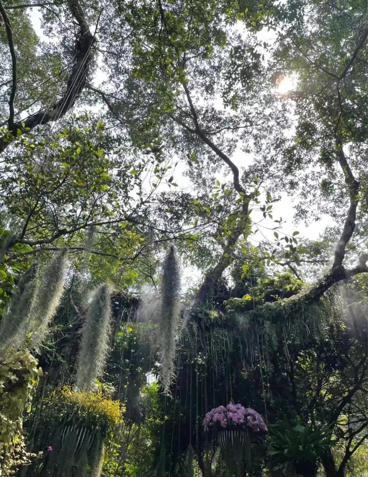 Other in City Hotel Xiamen