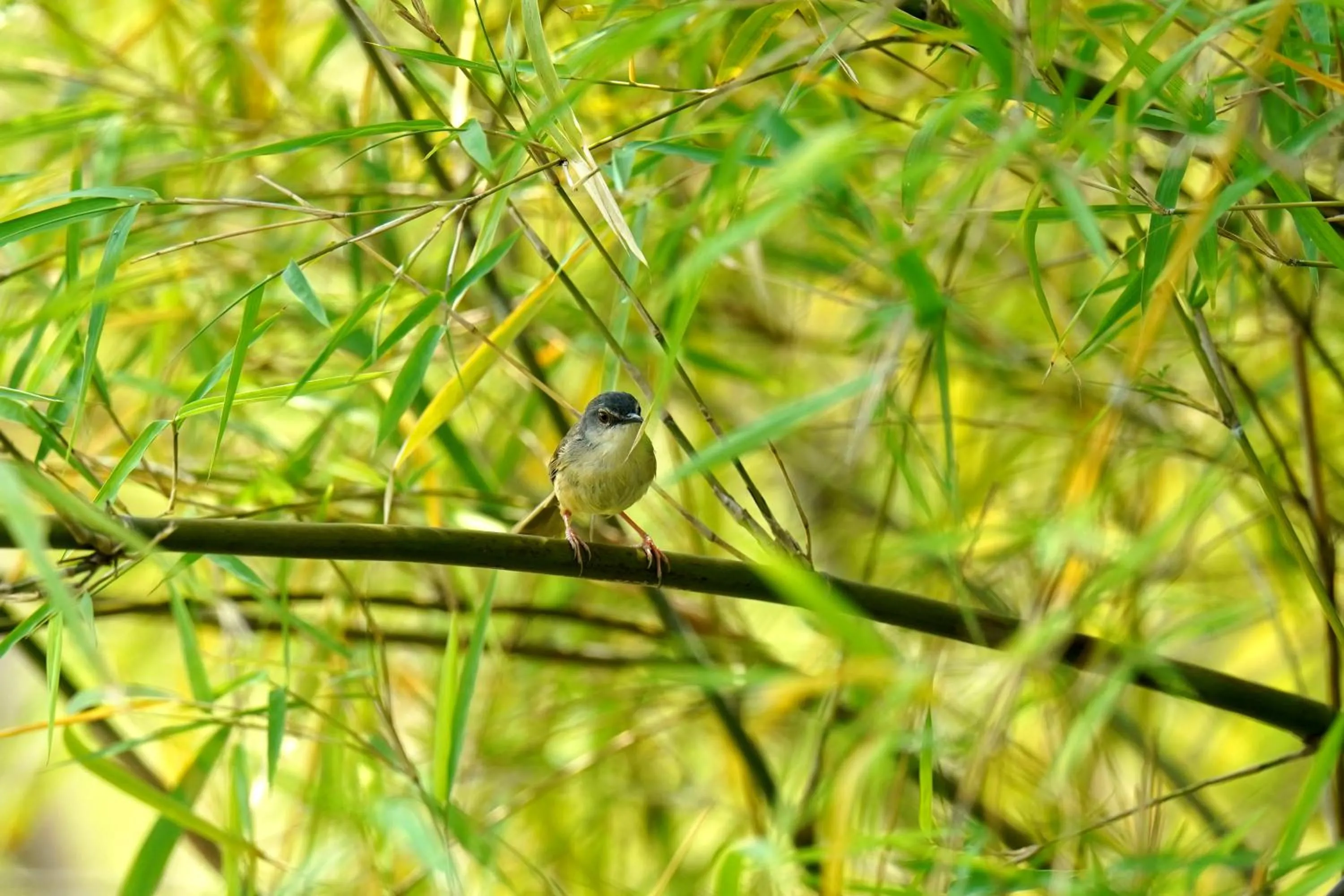 Property building in City Hotel Xiamen