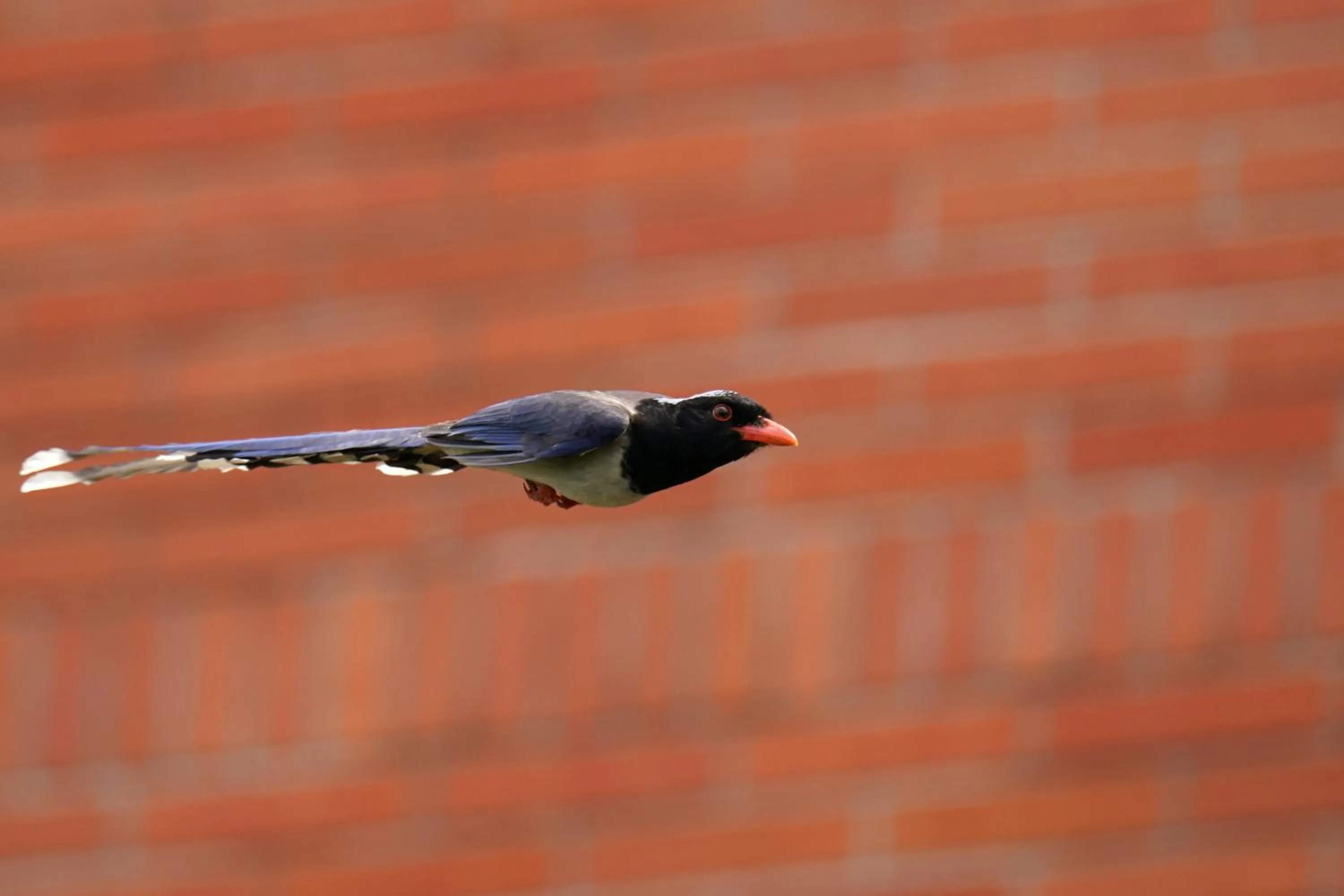 Property building in City Hotel Xiamen