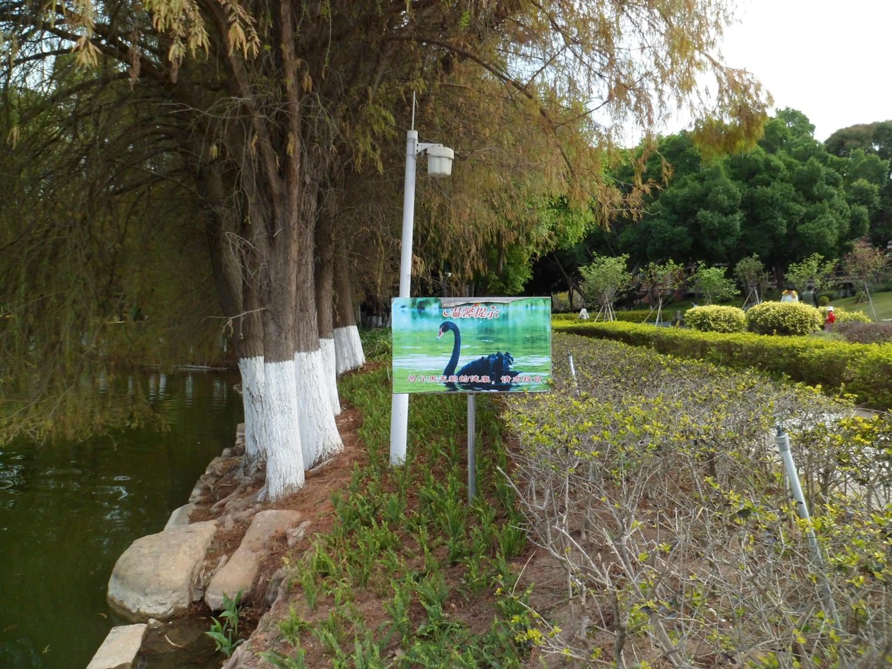 Other in City Hotel Xiamen