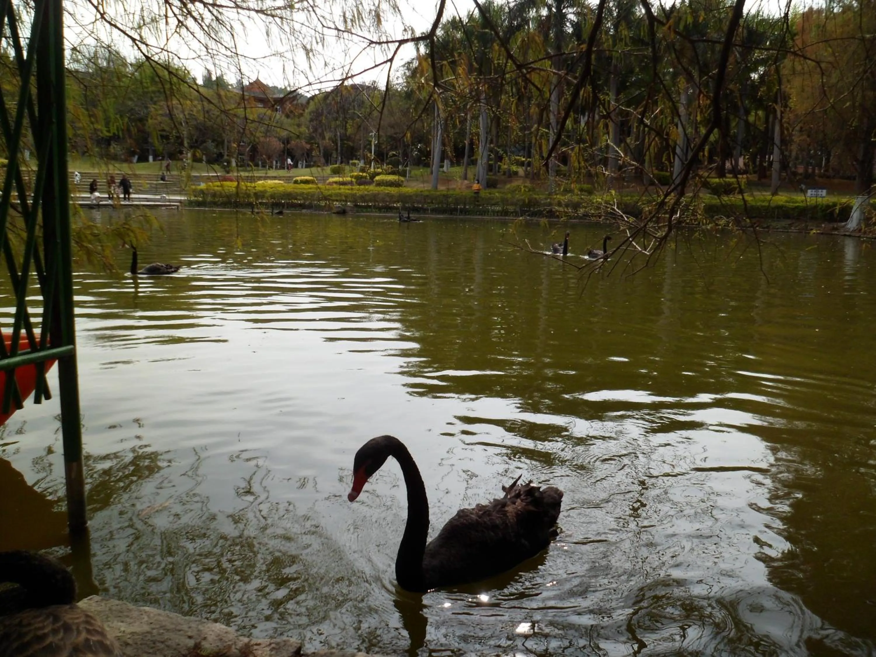 Other in City Hotel Xiamen