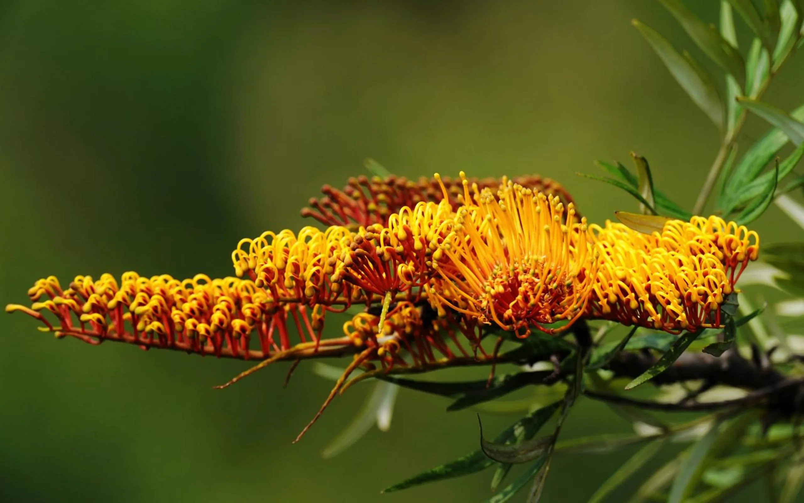 Garden in City Hotel Xiamen