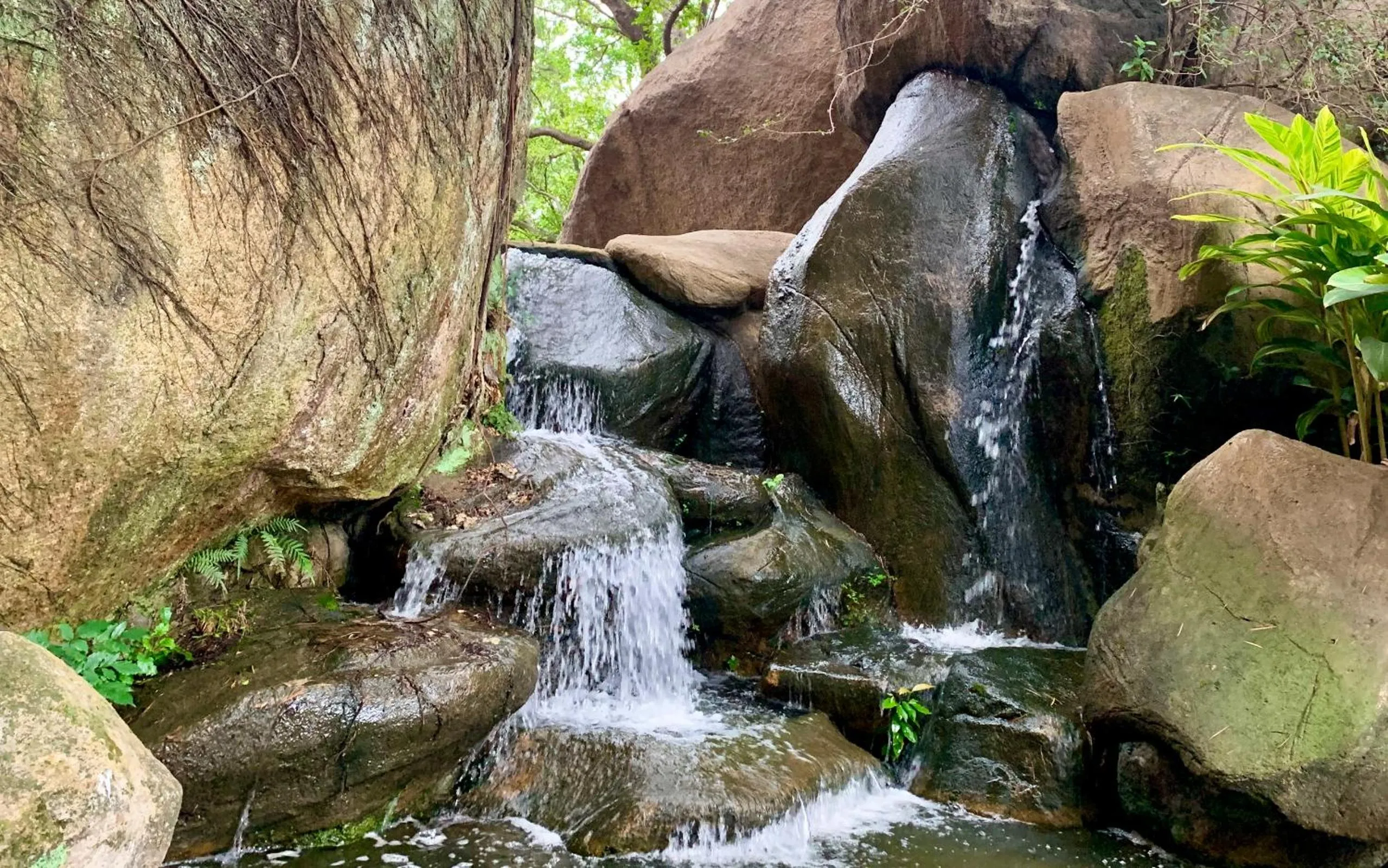 Garden view in City Hotel Xiamen