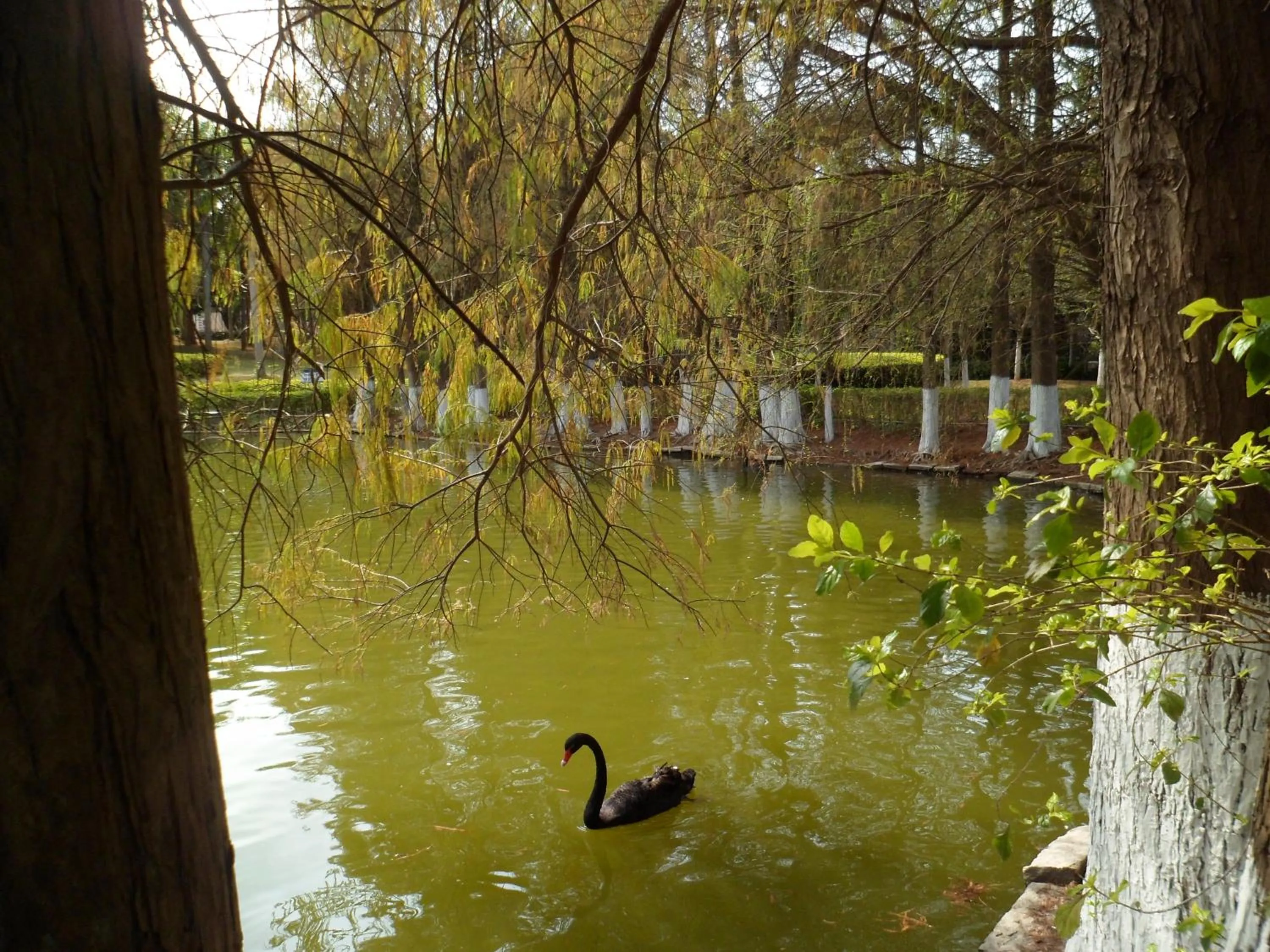 Other in City Hotel Xiamen