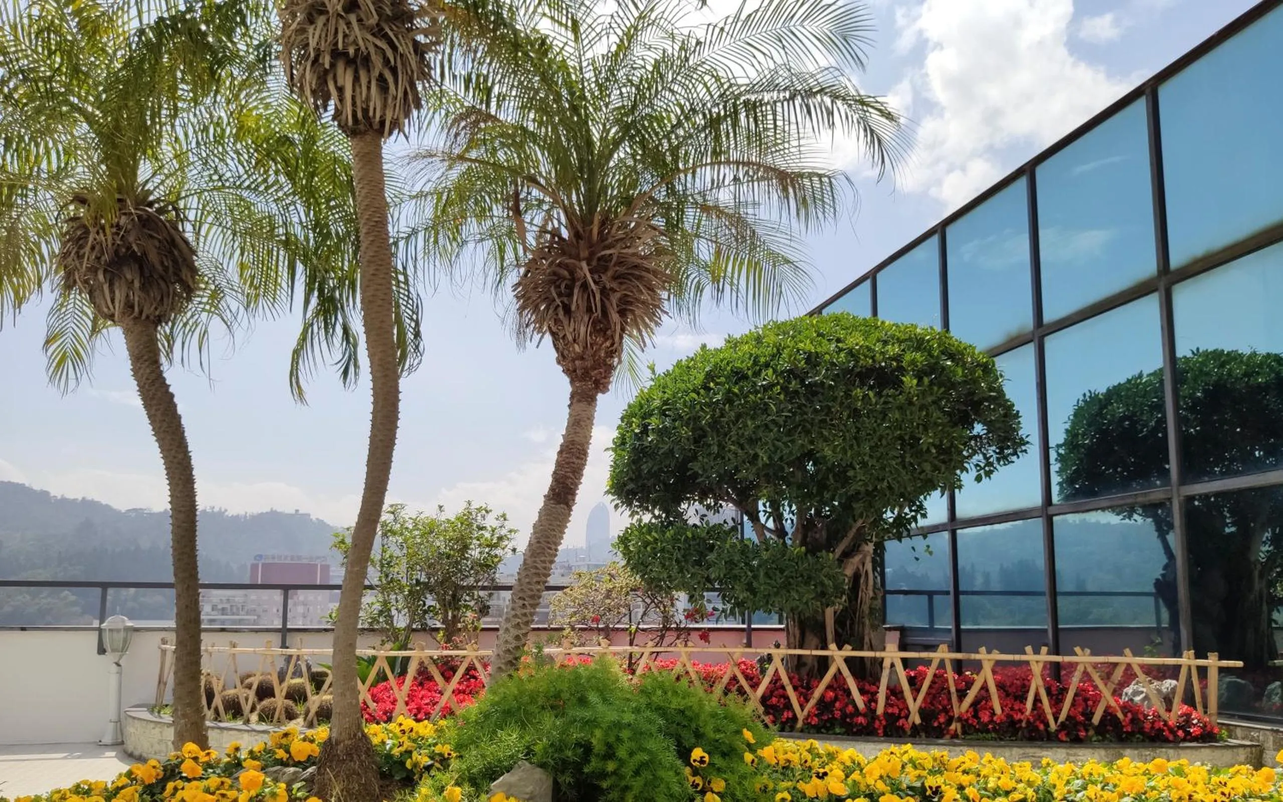 Garden in City Hotel Xiamen