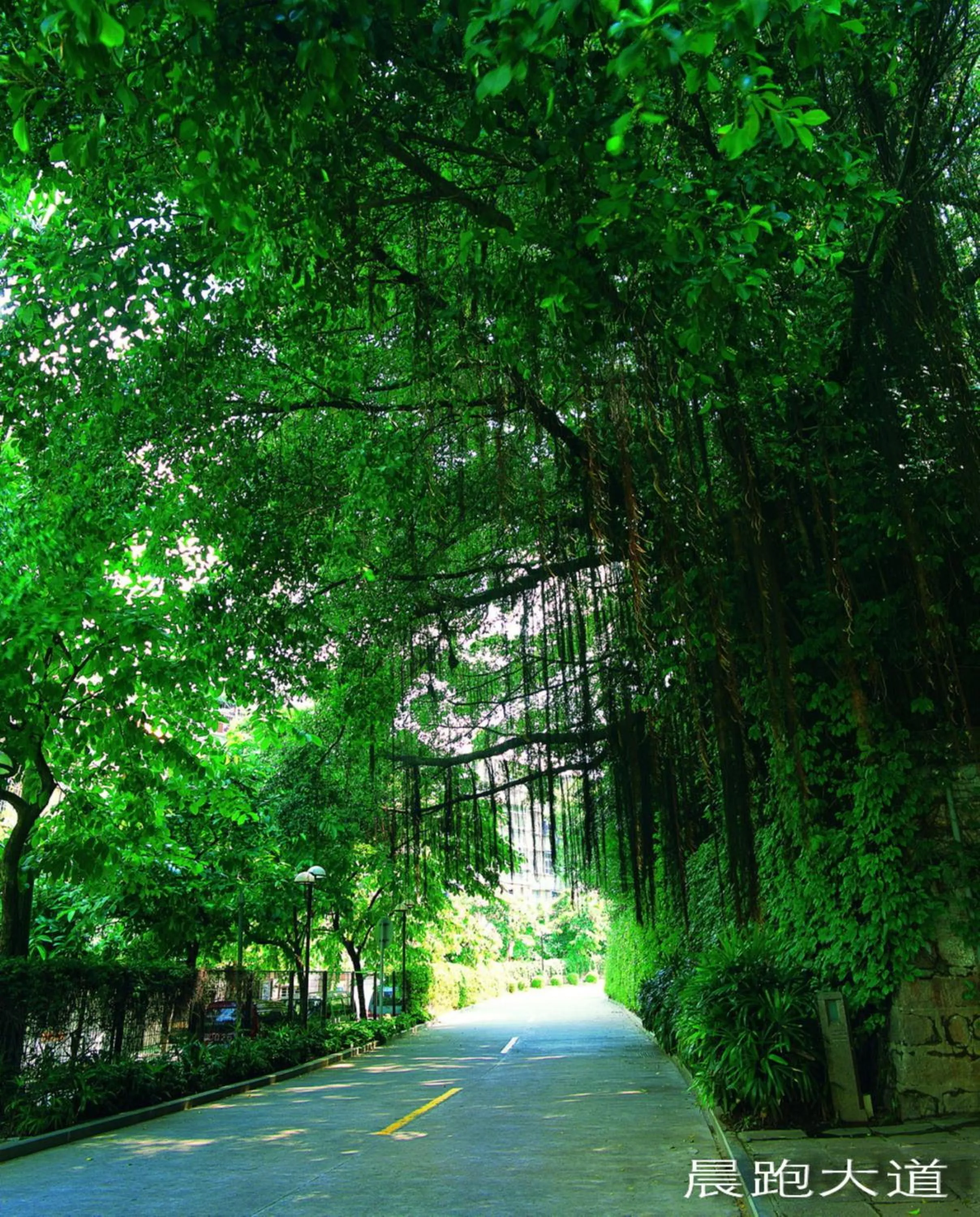 Property building in City Hotel Xiamen