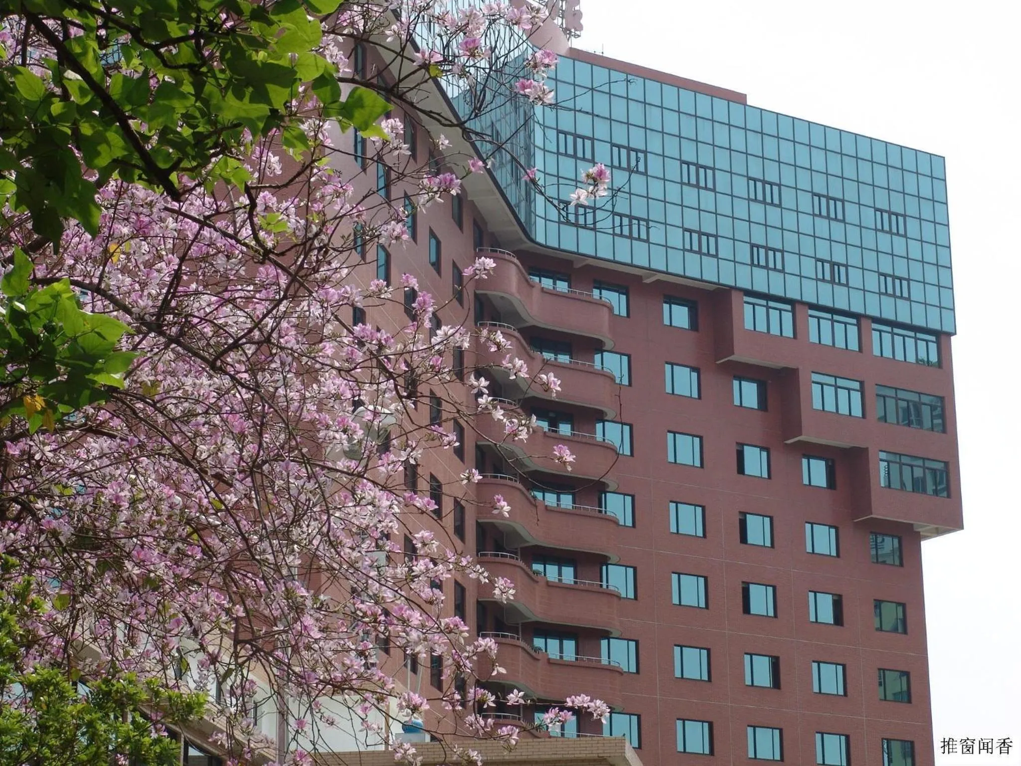 Property building in City Hotel Xiamen