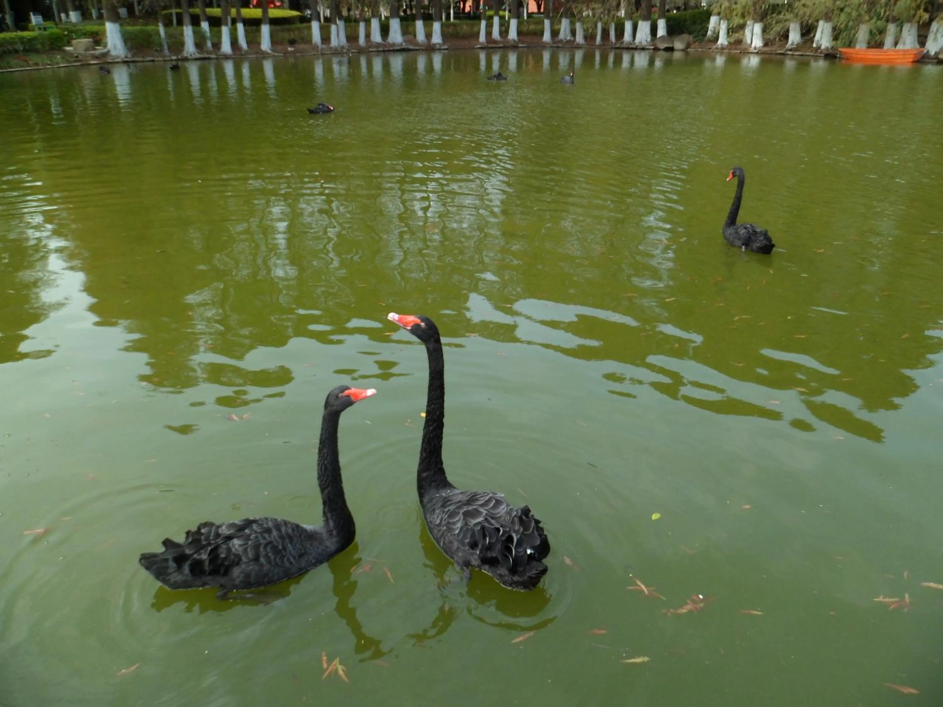 Other in City Hotel Xiamen