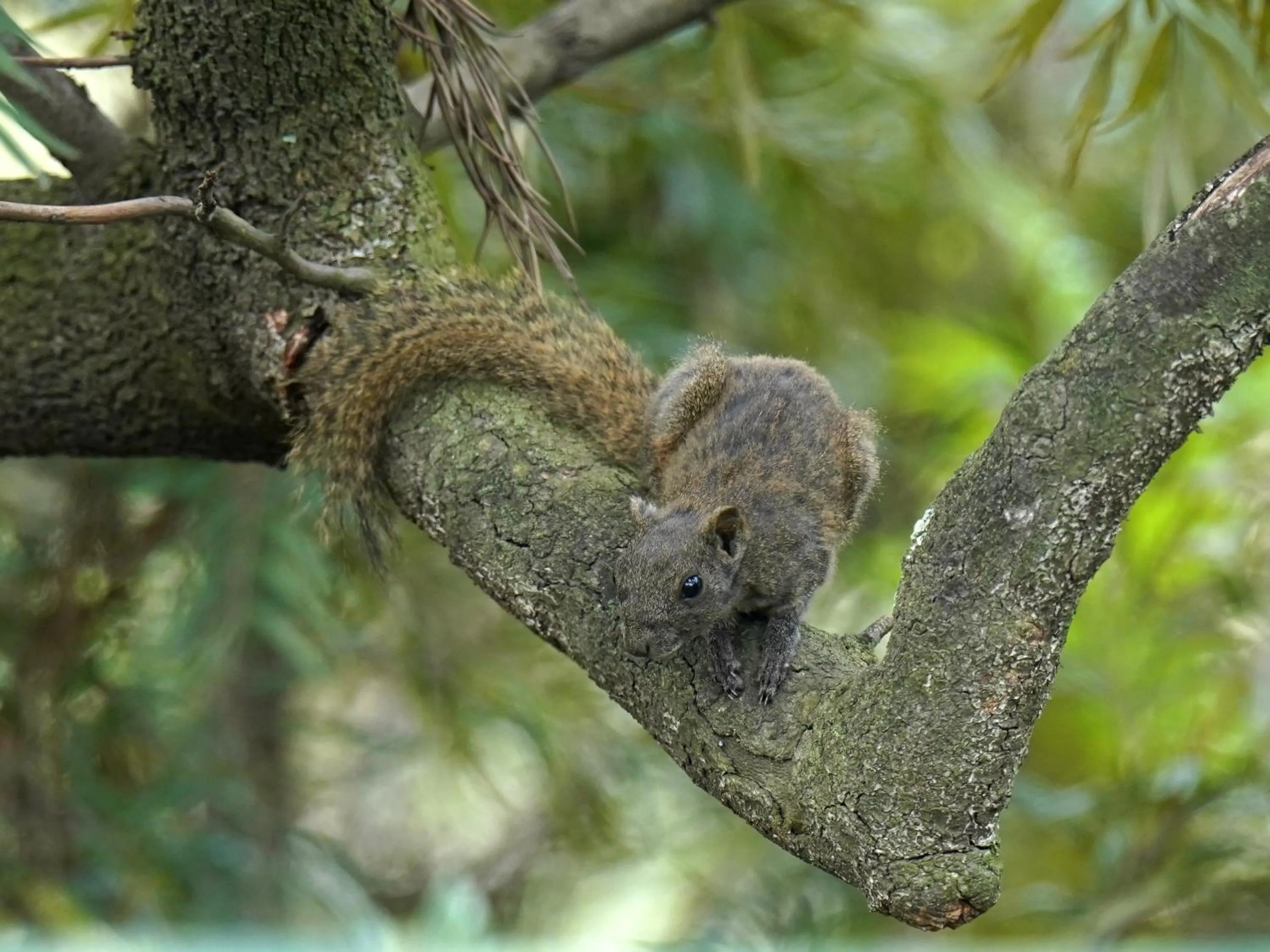 Property building in City Hotel Xiamen