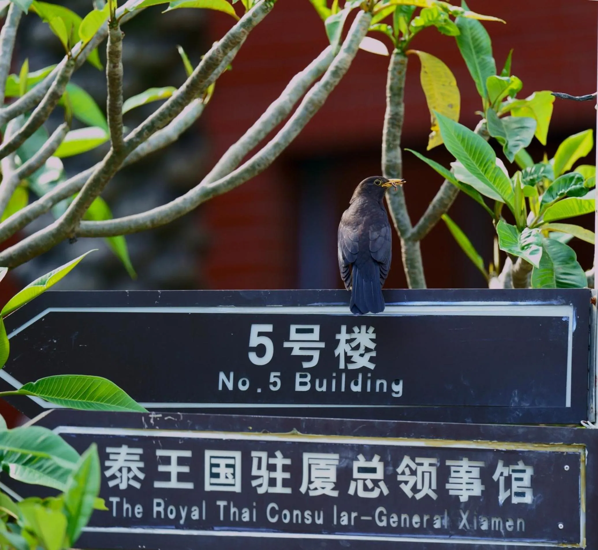 Property building in City Hotel Xiamen